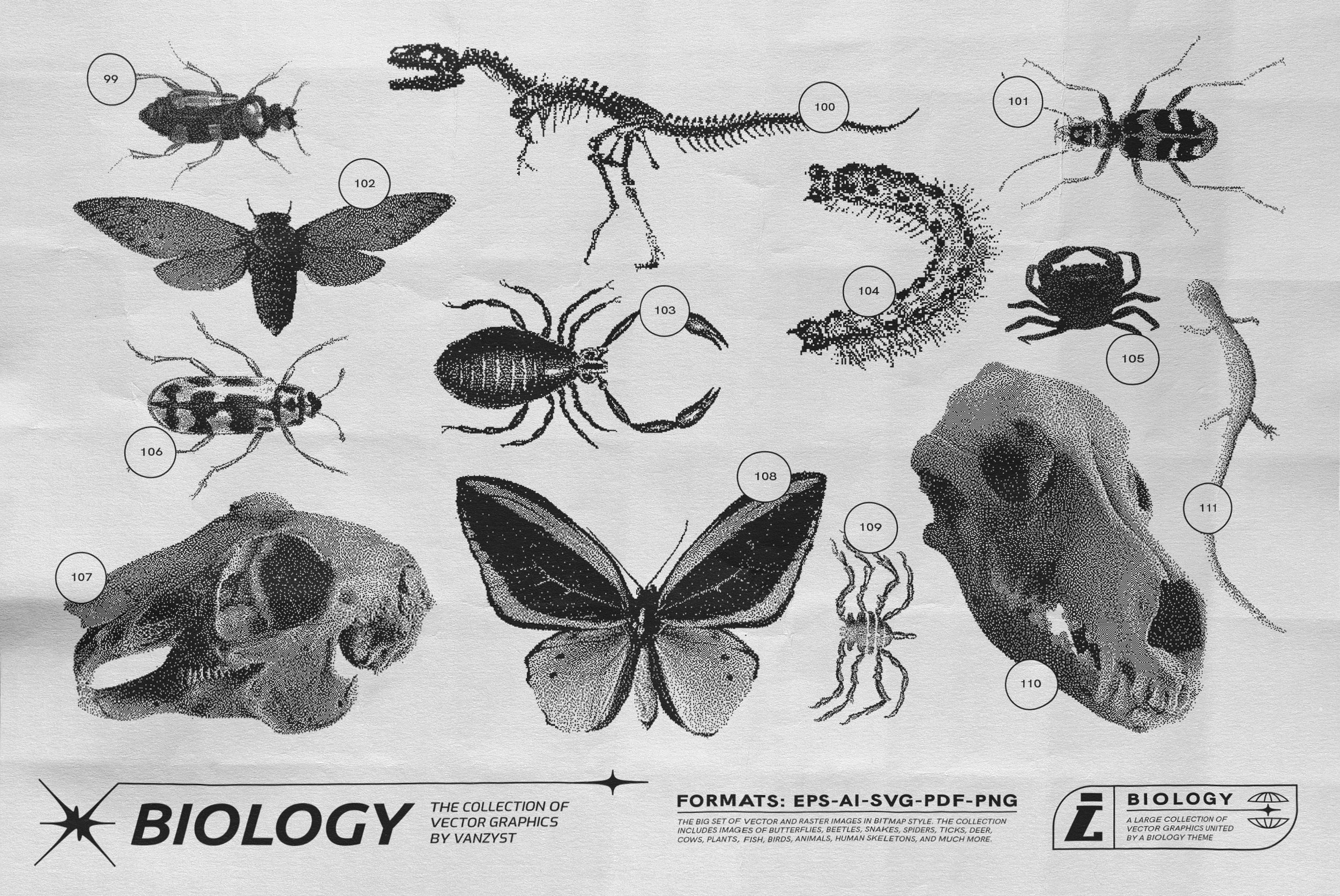 125 Vector Bitmap Assets - Biology