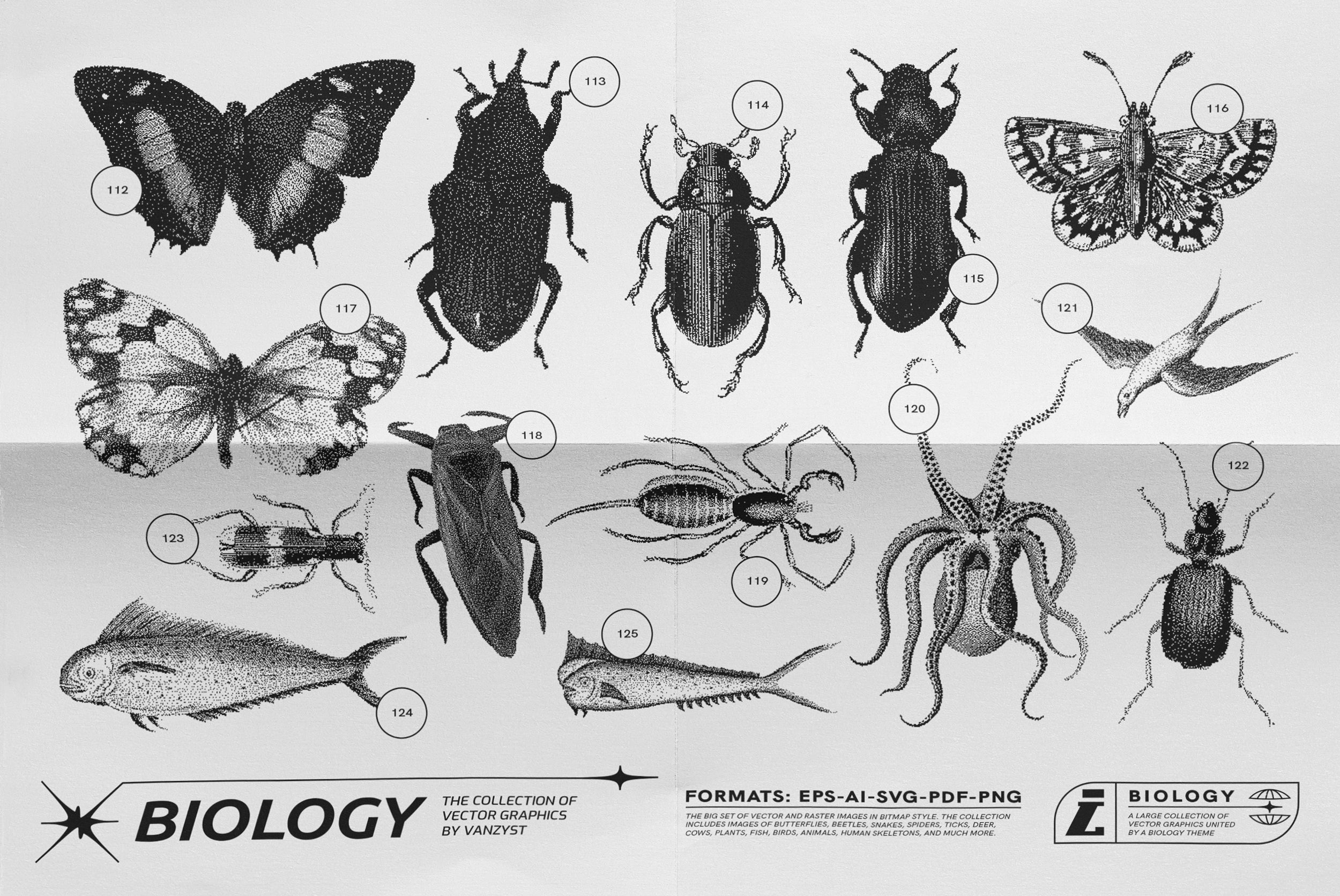 125 Vector Bitmap Assets - Biology
