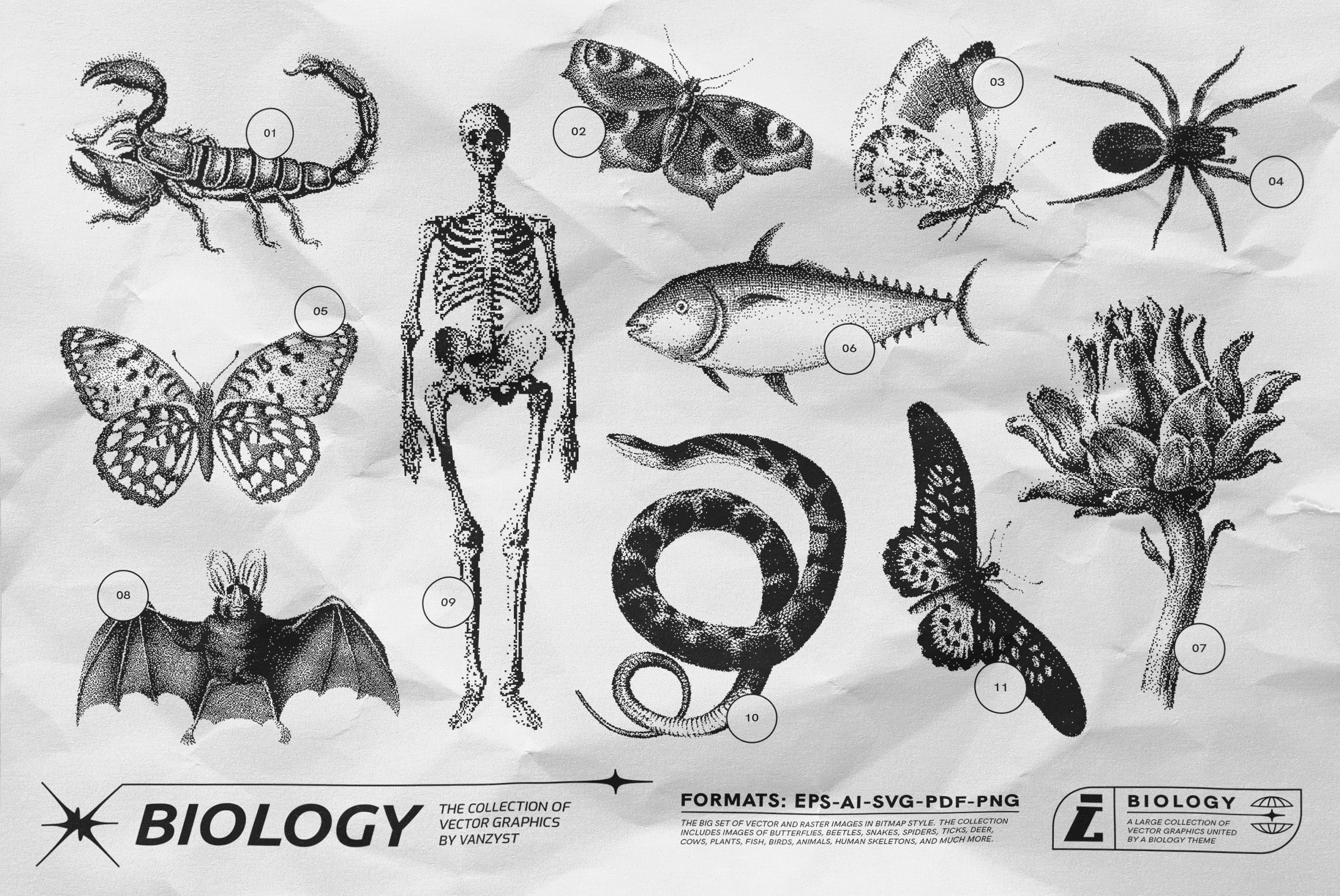125 Vector Bitmap Assets - Biology