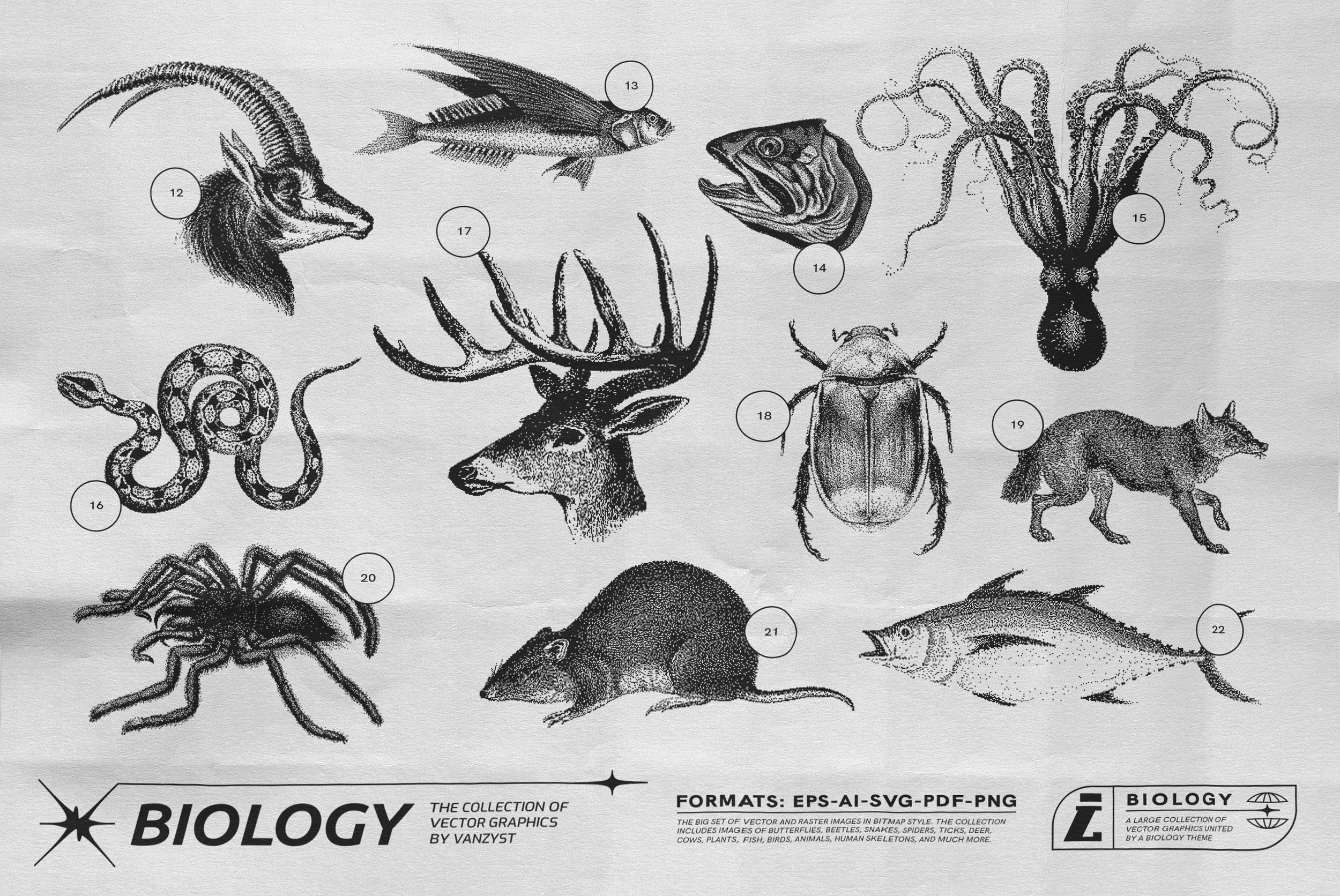 125 Vector Bitmap Assets - Biology