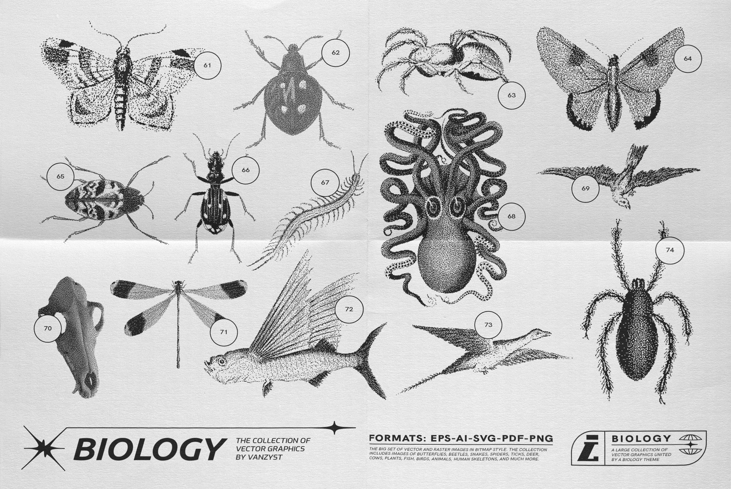 125 Vector Bitmap Assets - Biology