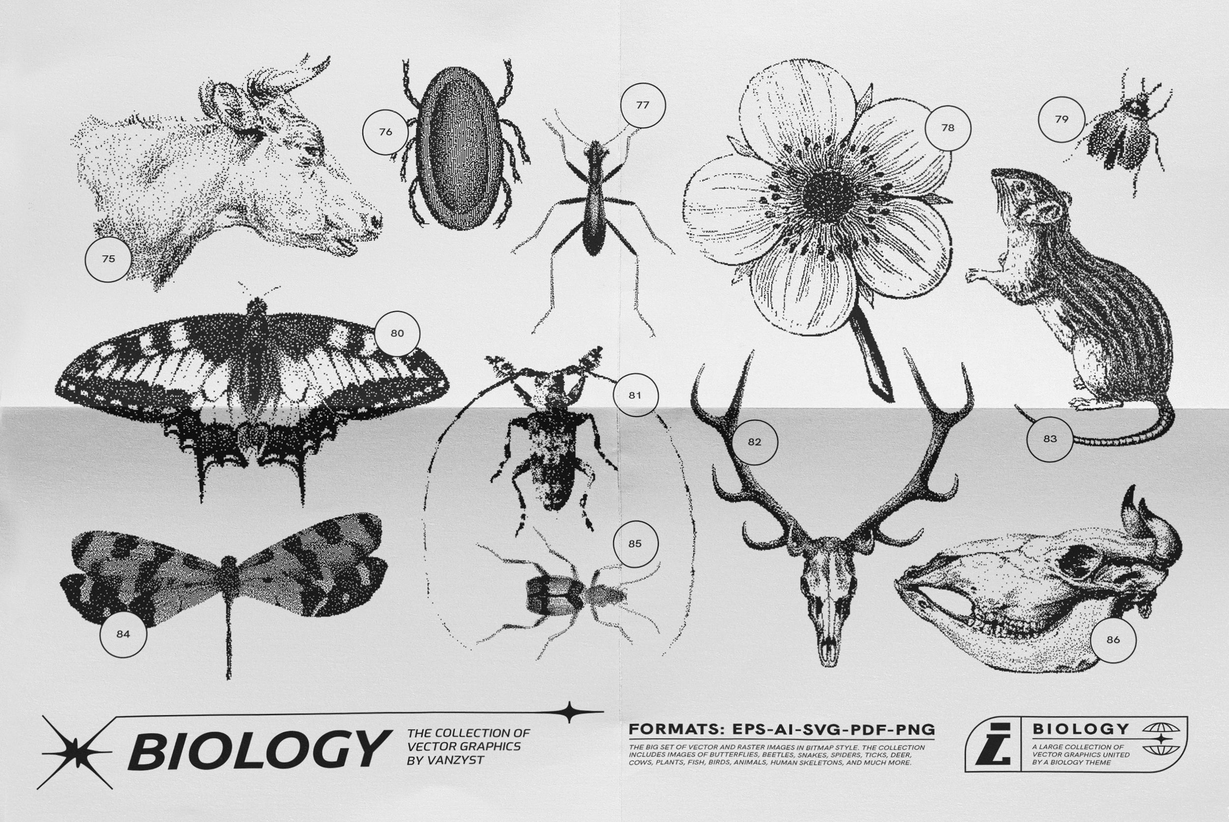 125 Vector Bitmap Assets - Biology