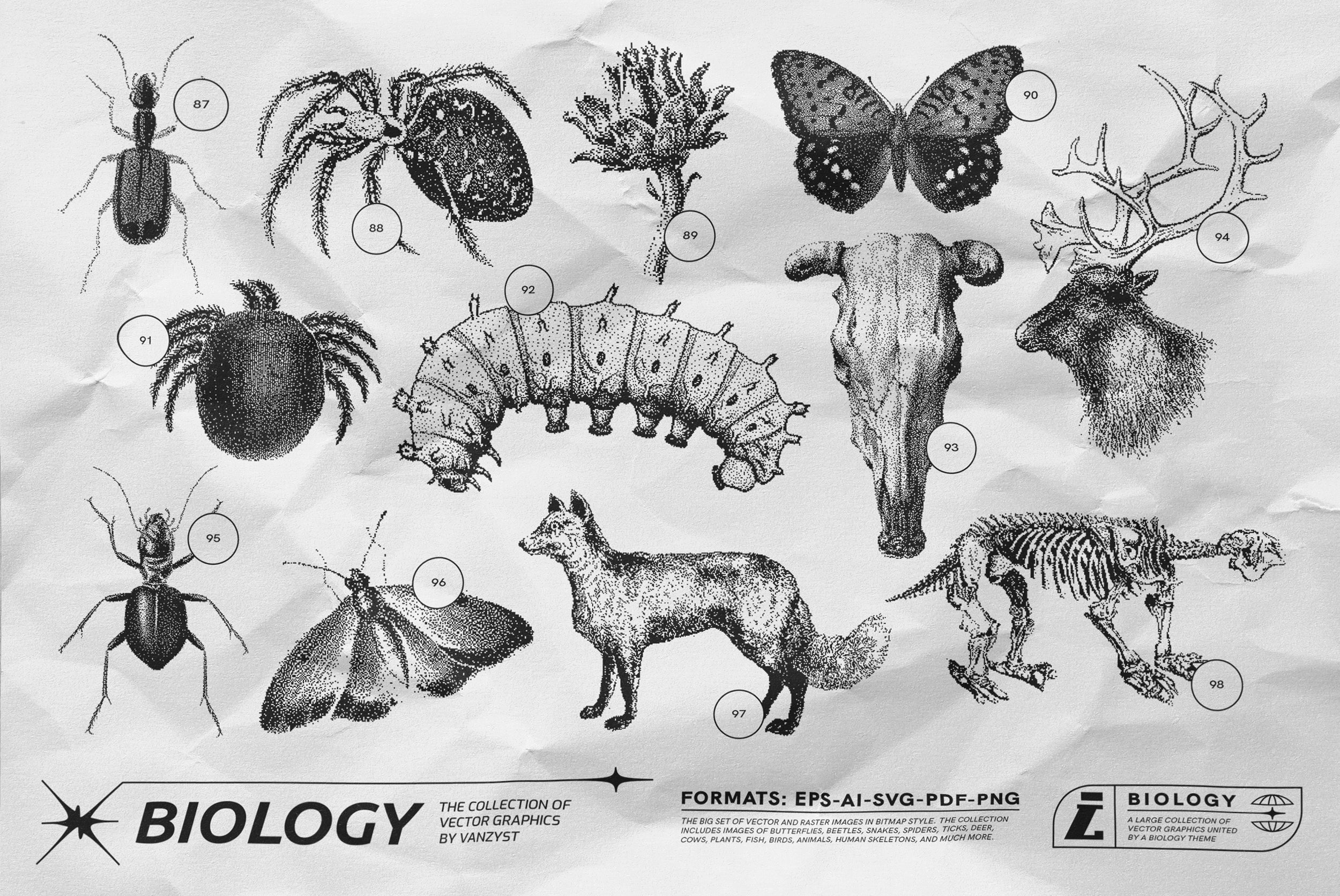 125 Vector Bitmap Assets - Biology