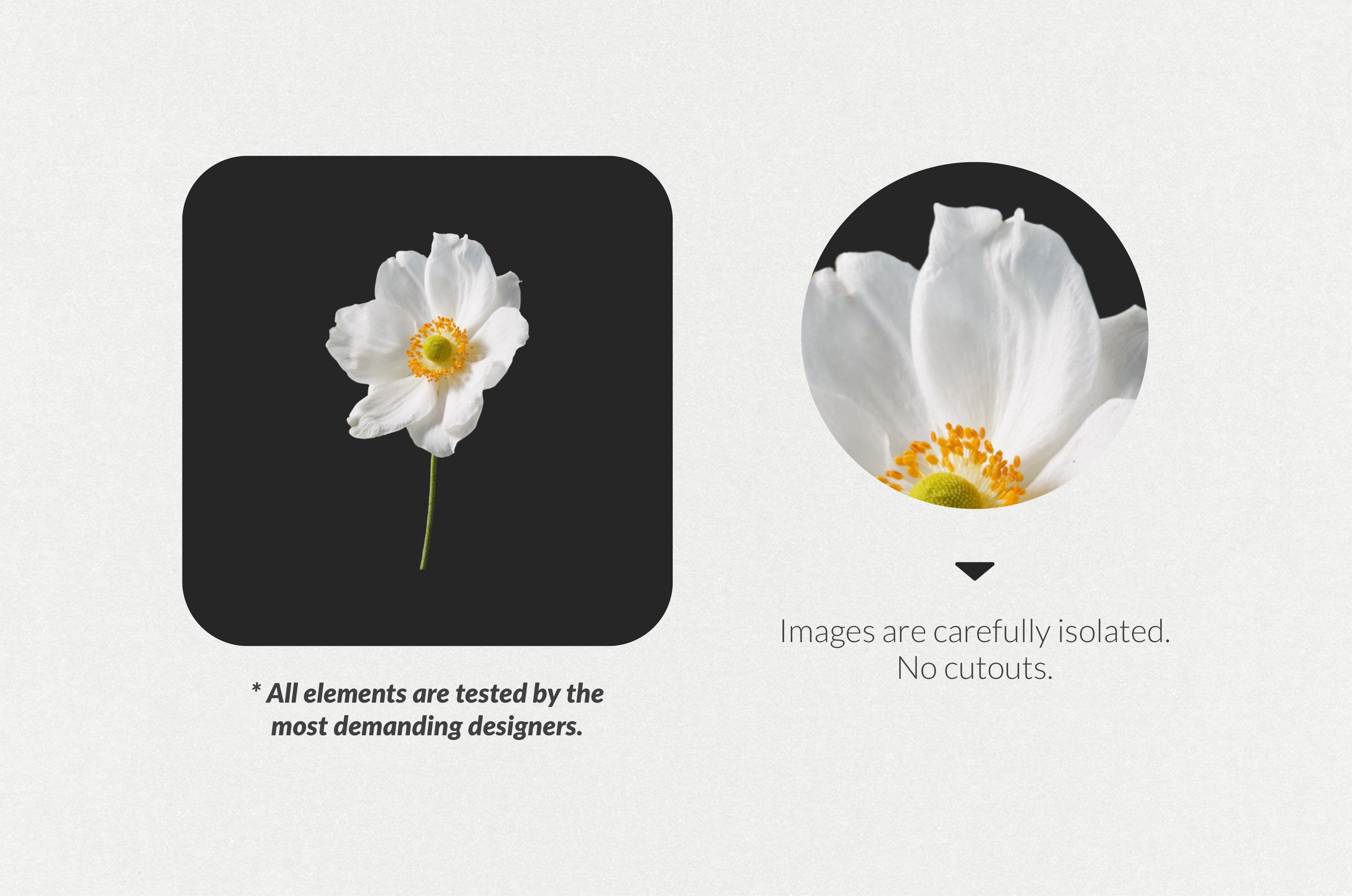 250+ Elements - Collage Creator Pack