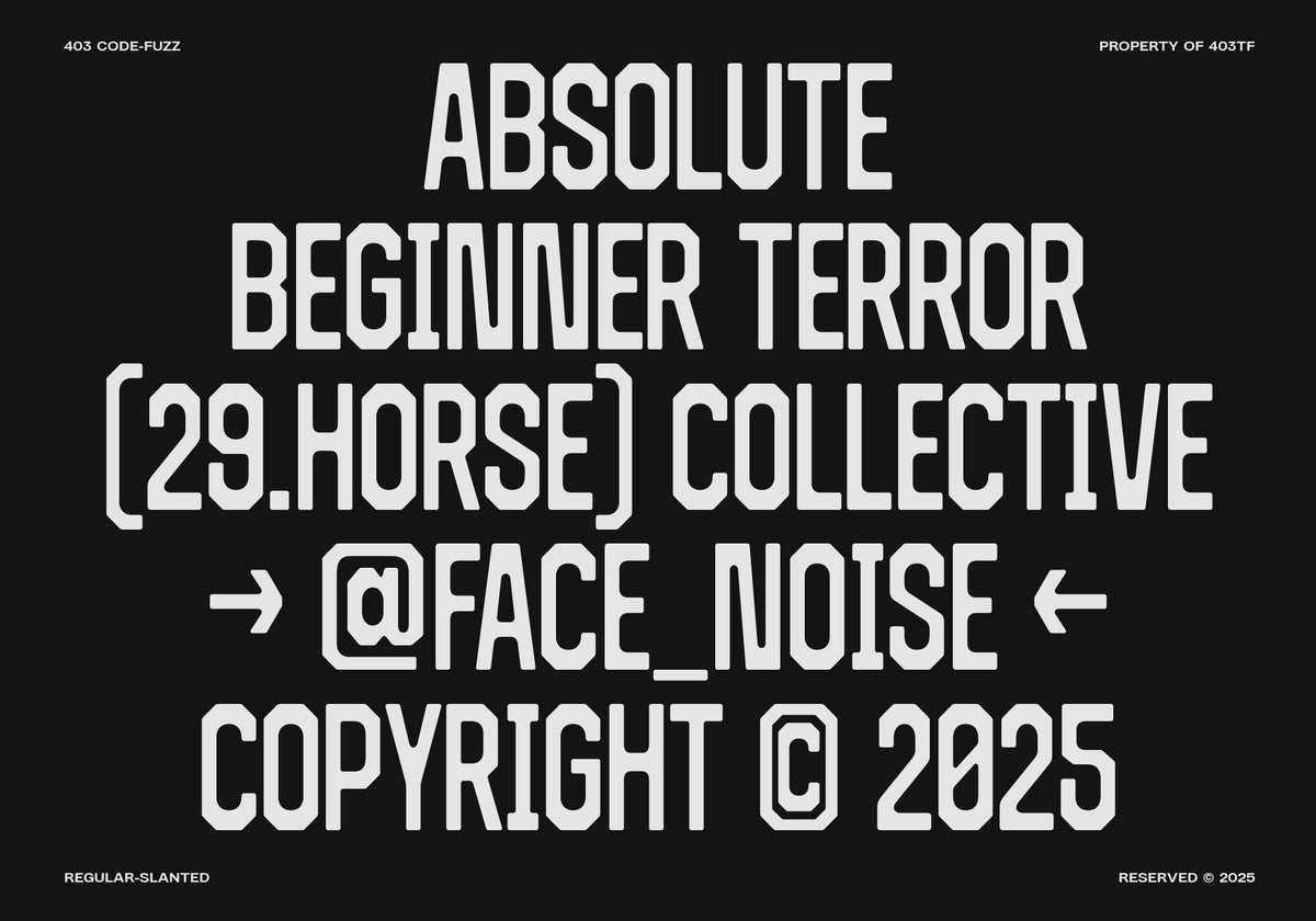 403-code-fuzz-unknown-creator-5.jpg