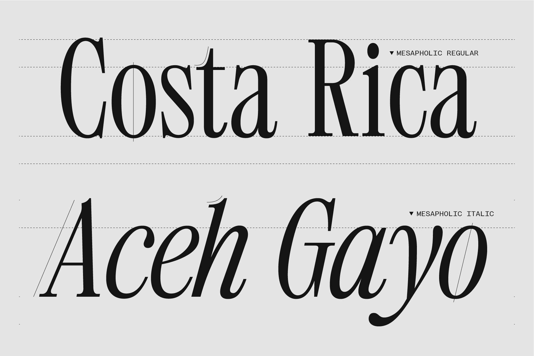 403 Mesapholic - 403TF 11.jpg