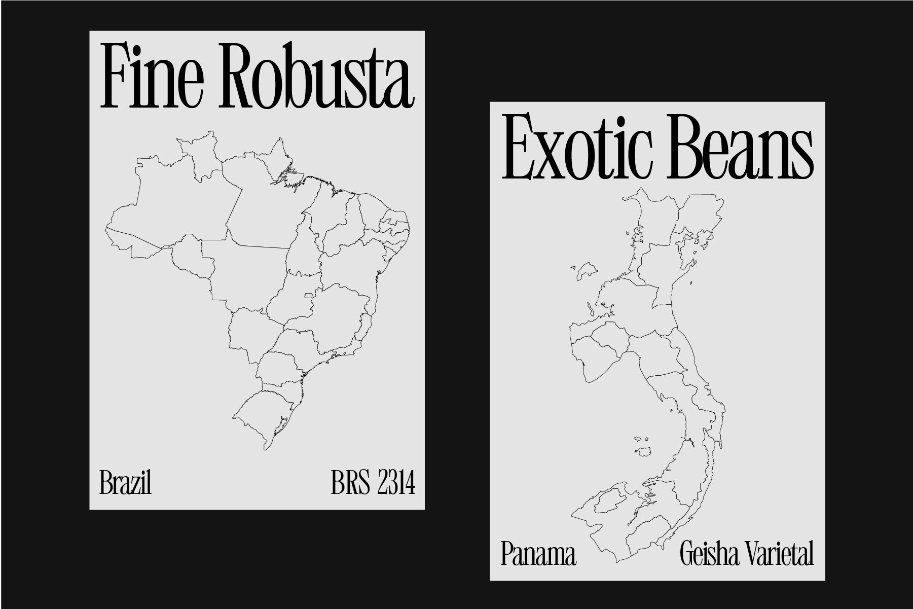 403 Mesapholic - 403TF 15.jpg