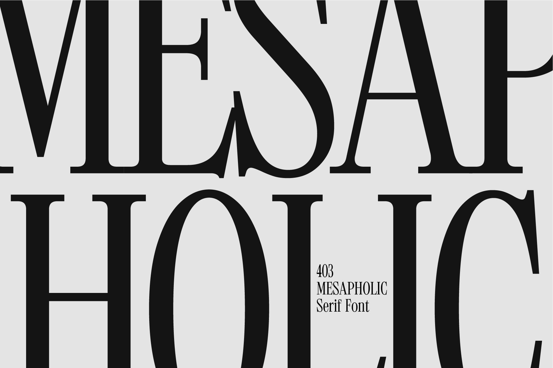 403 Mesapholic - 403TF 6.jpg