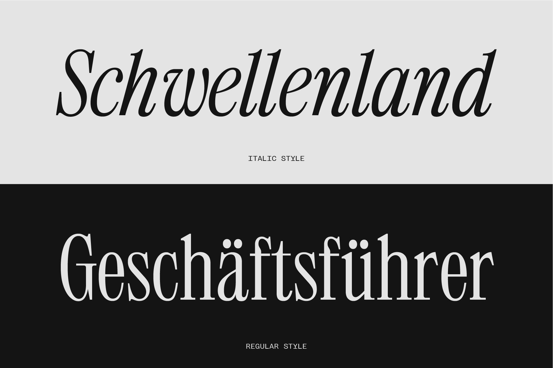 403 Mesapholic - 403TF 9.jpg