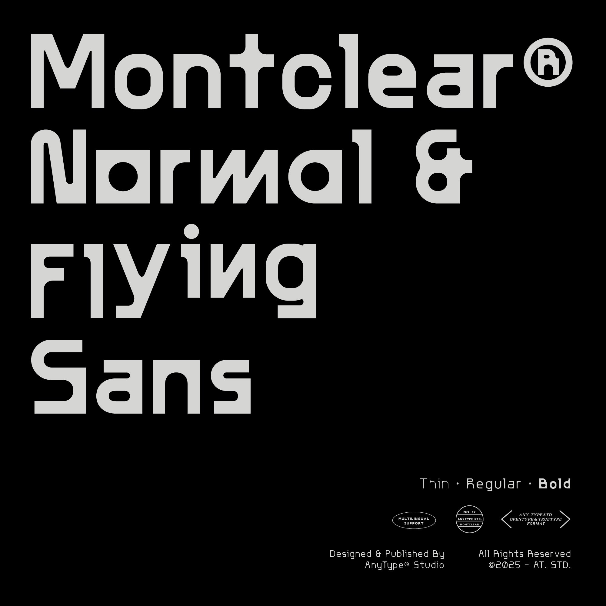 AT Montclear Versatile Font with Dynamic Styles - Any-Type® Foundry 1.jpg
