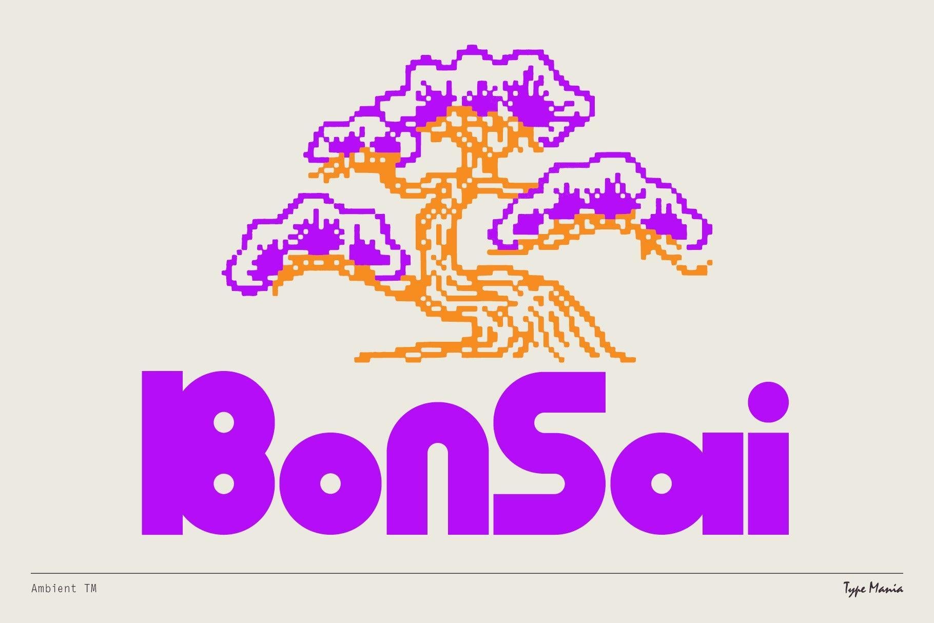 Ambient TM - Type Mania 3.jpg