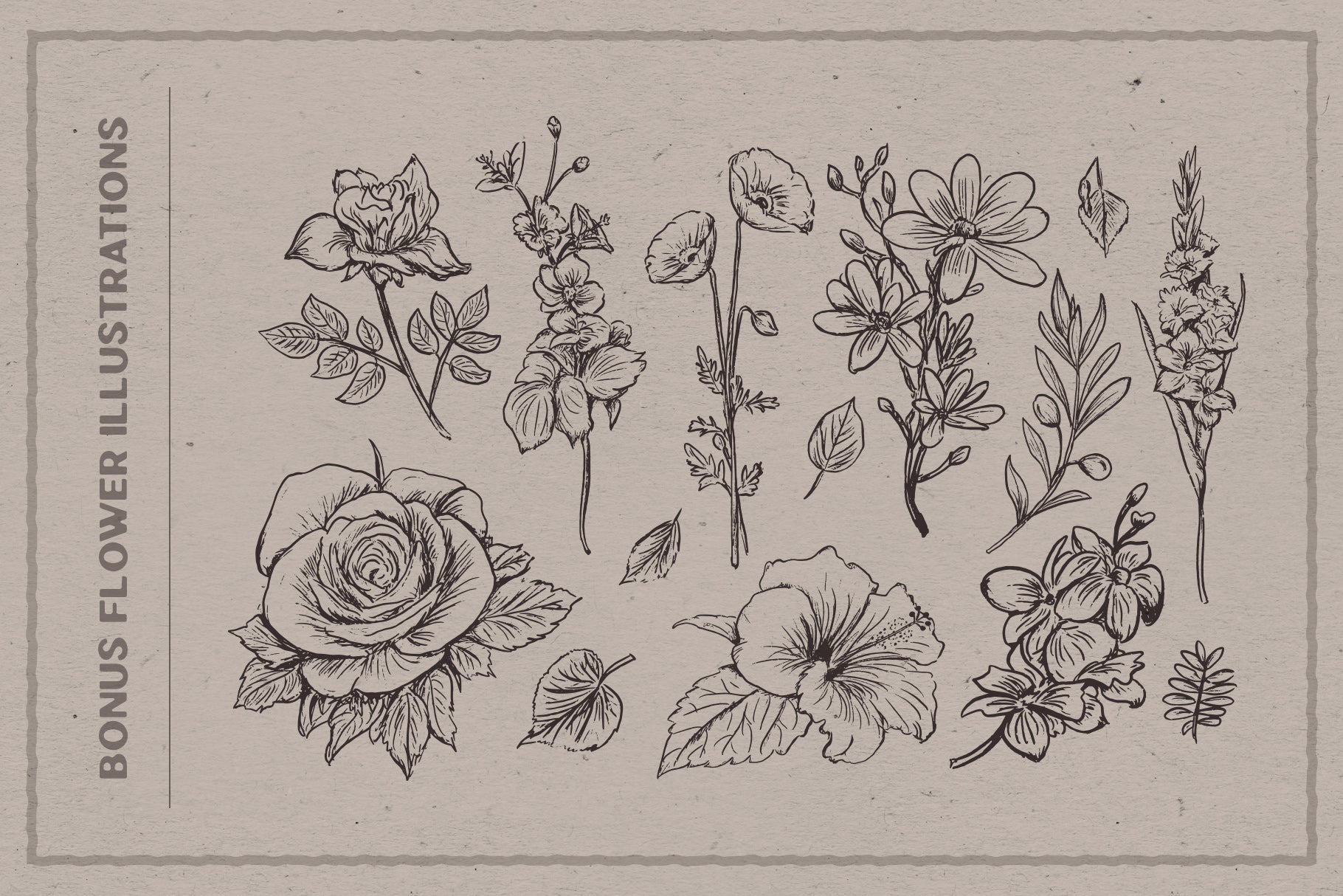 Audacity - Font Duo (+EXTRAS) - Sarid Ezra 2.jpg