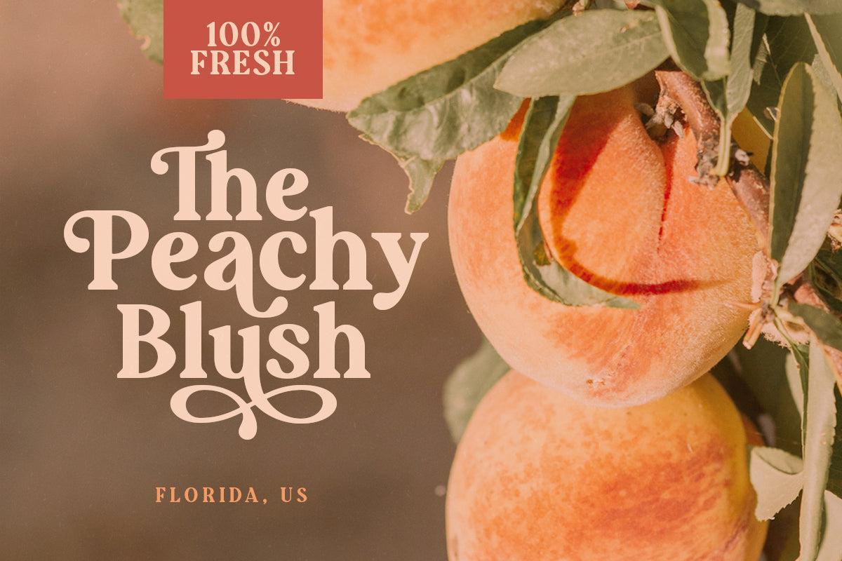 Augillion - Soft Bold Serif - Sarid Ezra 5.jpg