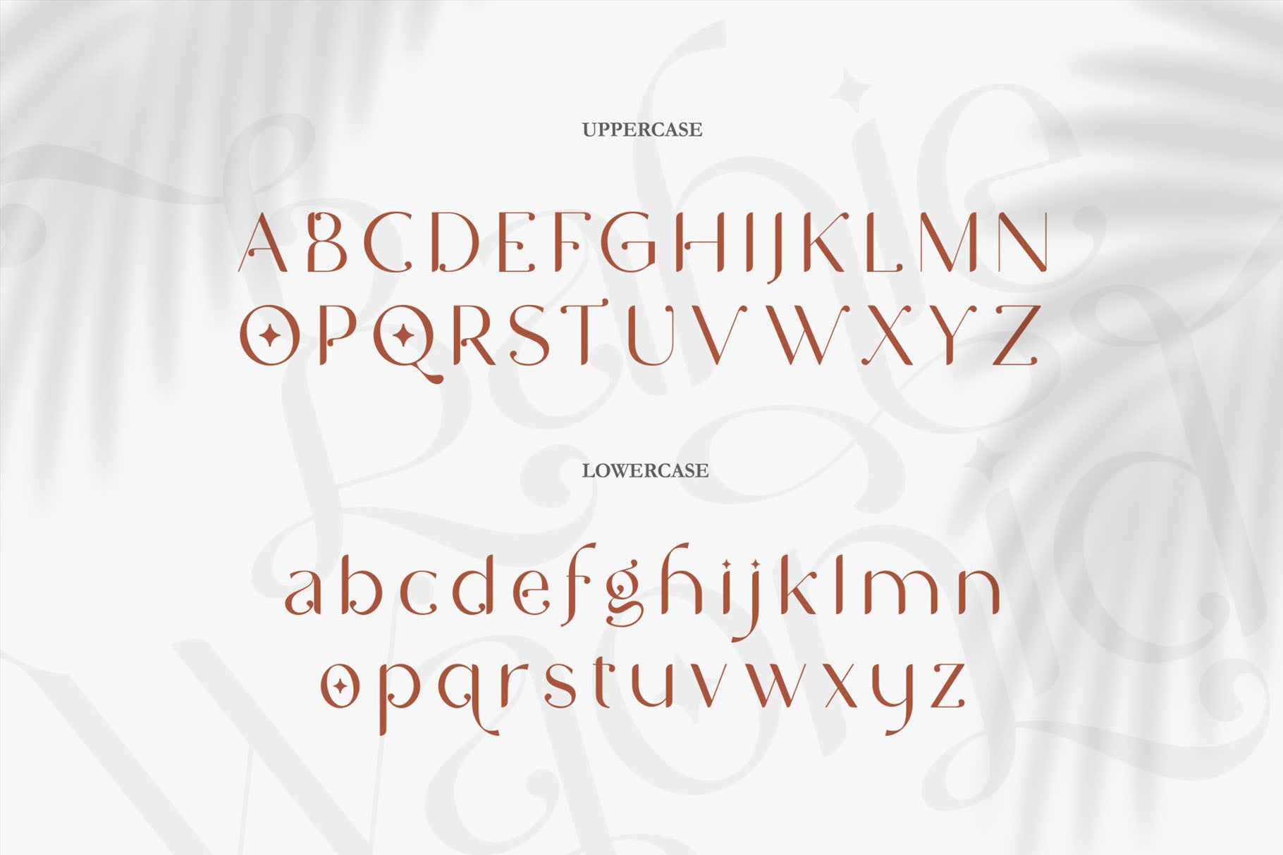 BAHIE WAONID - Enxyclo Studio 1.jpg