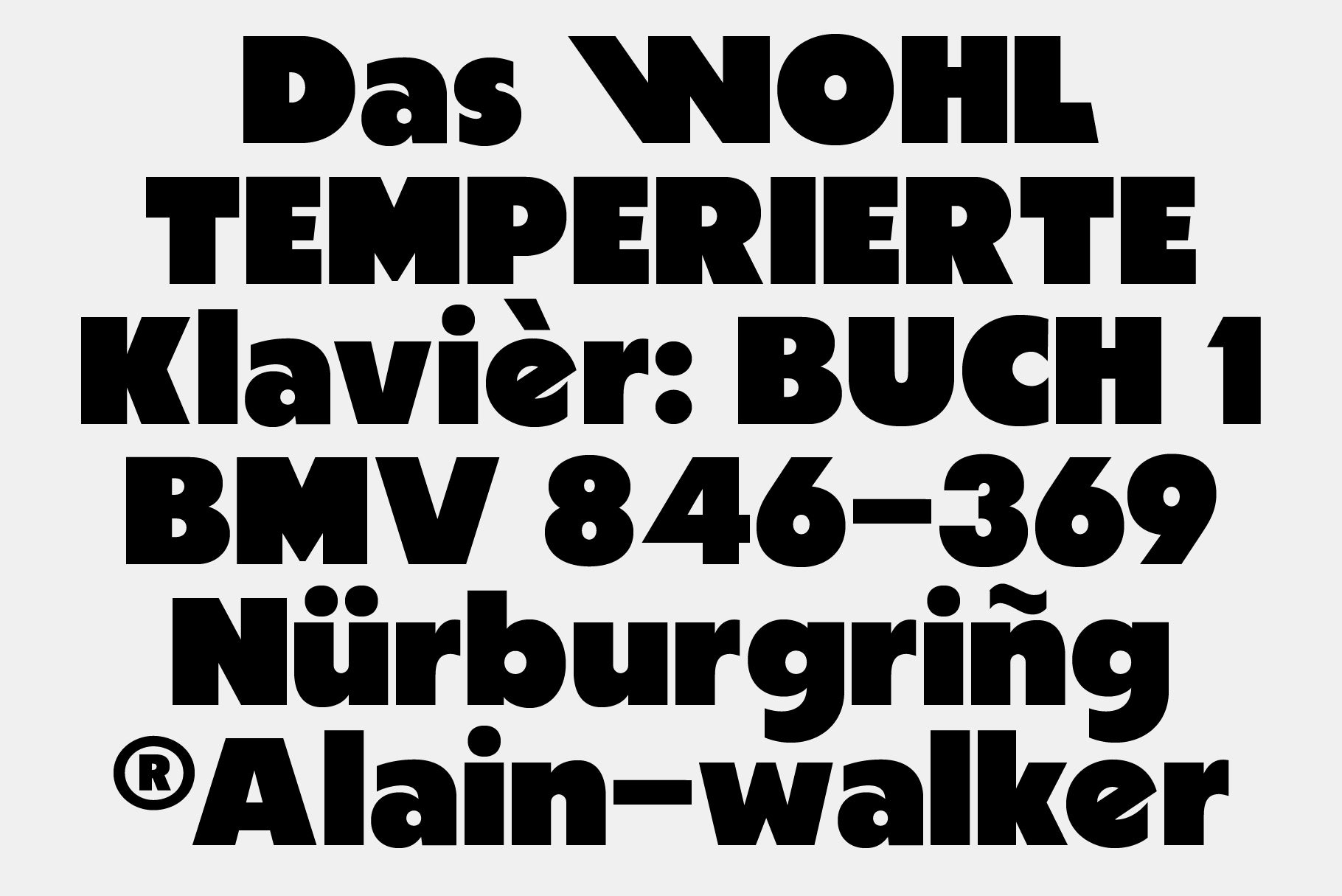 BJÖRN Bold Sans Serif - Any-Type® Foundry 1.jpg