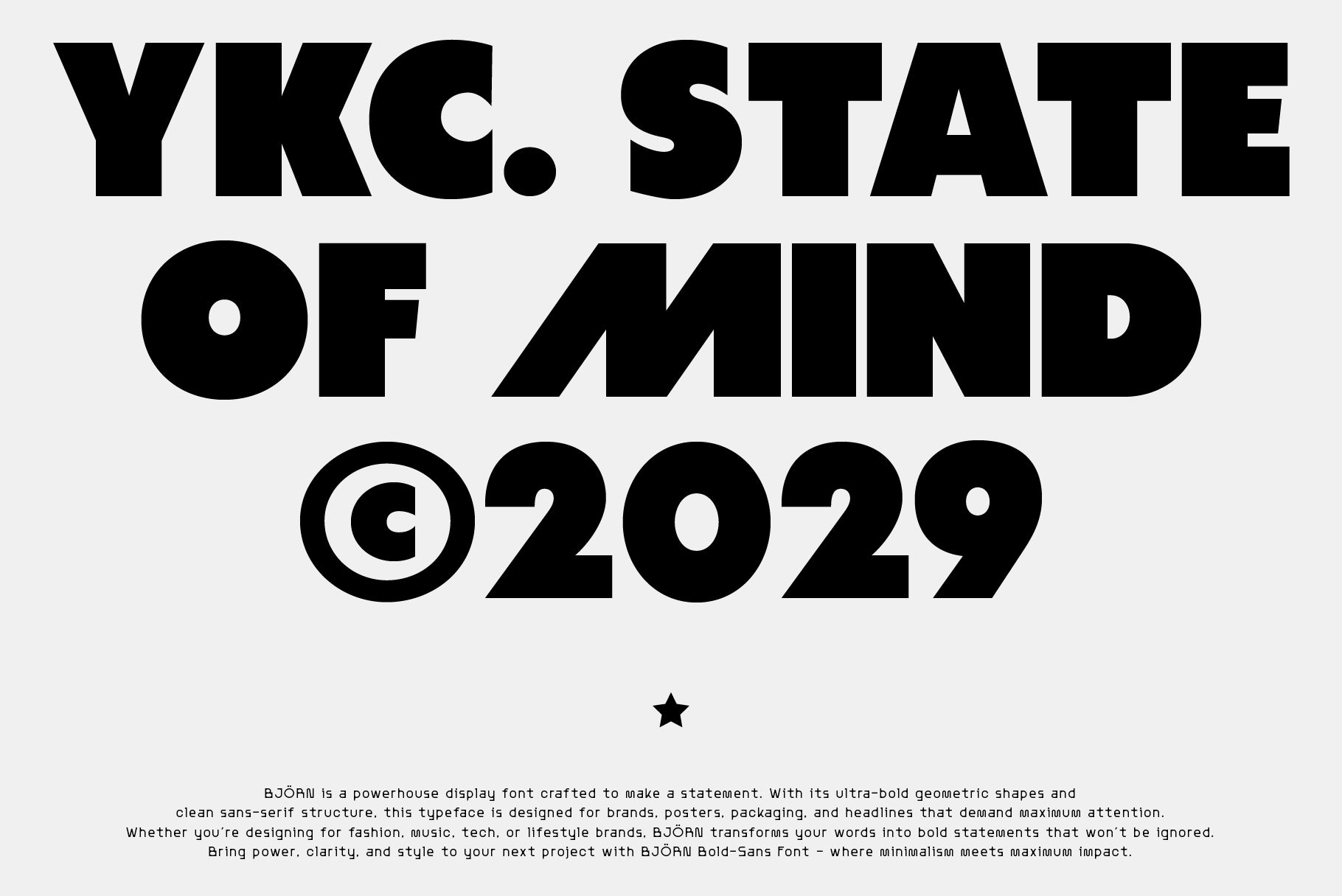 BJÖRN Bold Sans Serif - Any-Type® Foundry 1.jpg