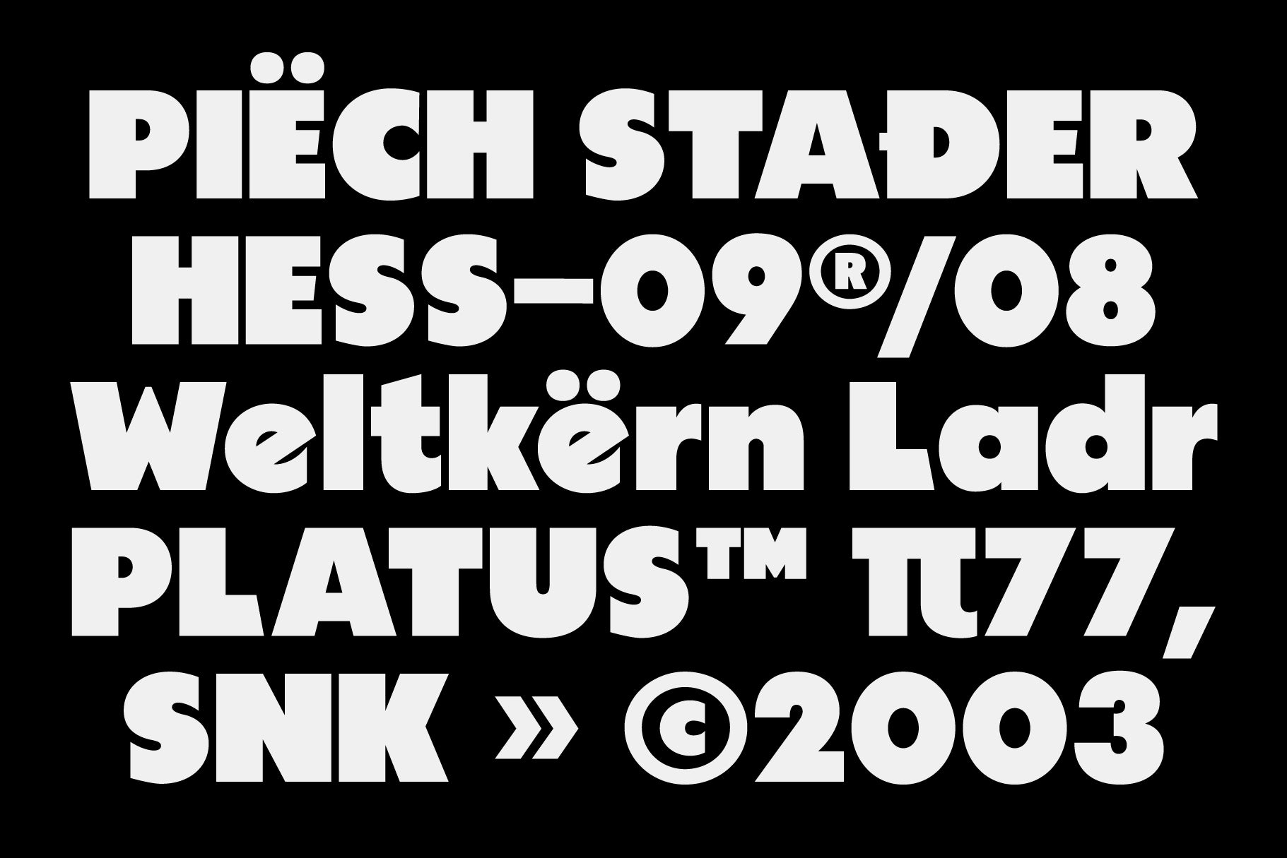 BJÖRN Bold Sans Serif - Any-Type® Foundry 1.jpg