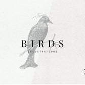 Birds Illustrations