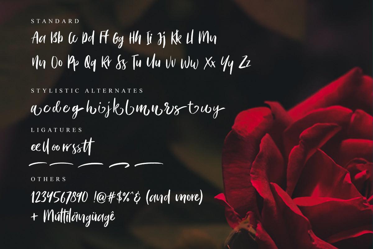 Bitter Rose - Brush Font (+TEXTURES) - Sarid Ezra 8.jpg