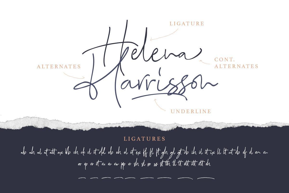 Bombalurina Script (4 Fonts) - Sarid Ezra 3.jpg