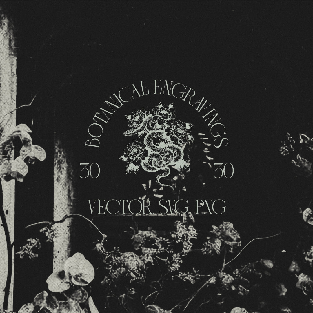 Botanical Engravings - AiahHassn 1.png