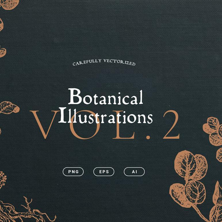 Botanical Illustrations Vol.02 - Nomad Visuals 1.jpg