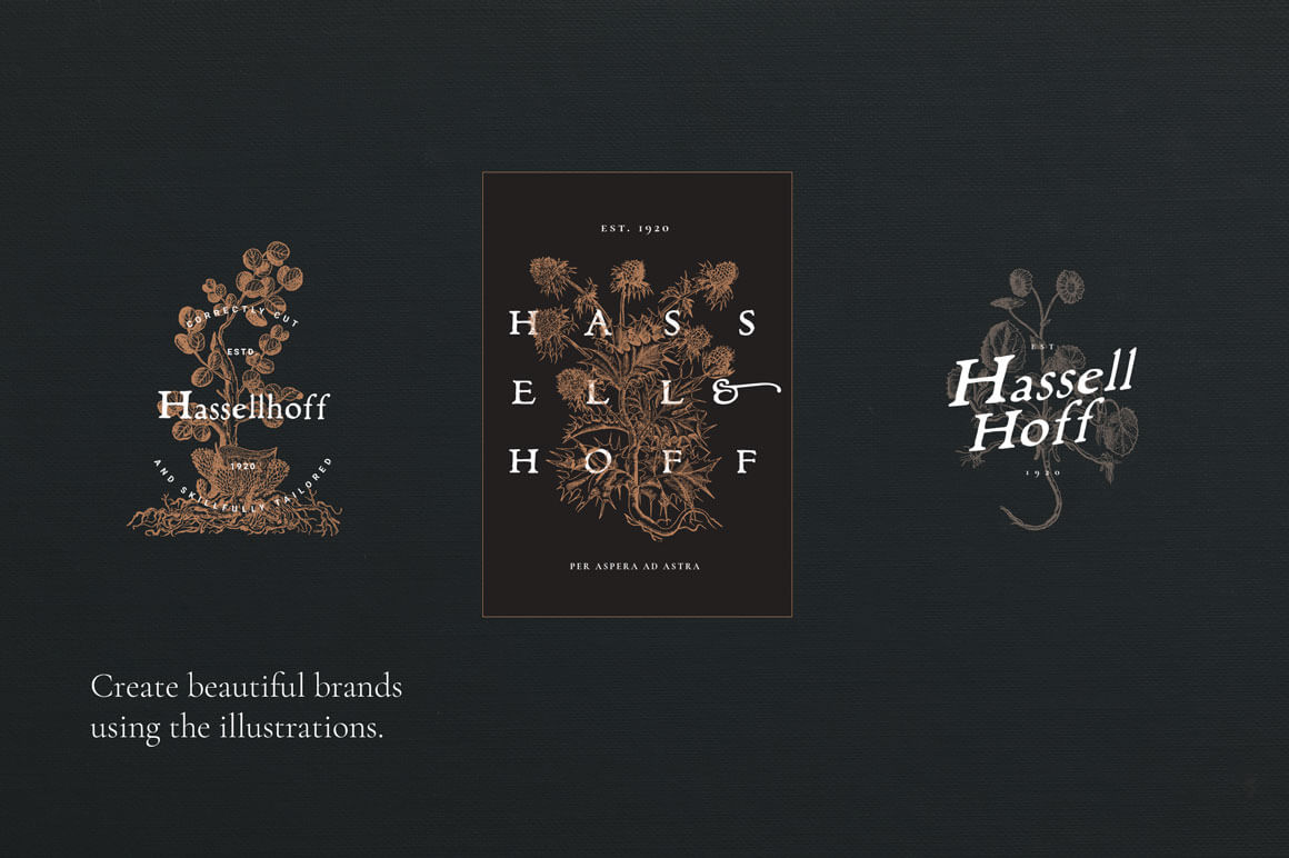 Botanical Illustrations Vol.02 - Nomad Visuals 2.jpg