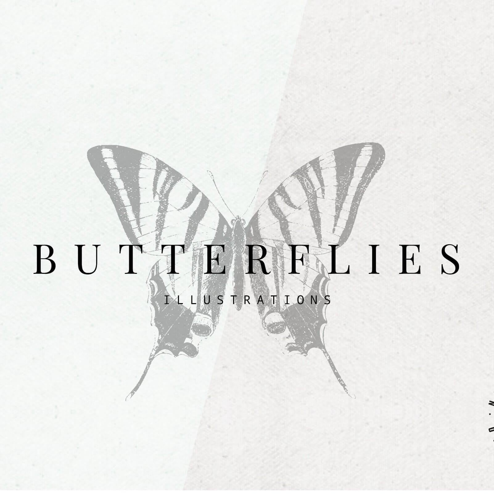 Butterflies Illustrations - Nomad Visuals 1.jpg