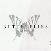 Butterflies Illustrations
