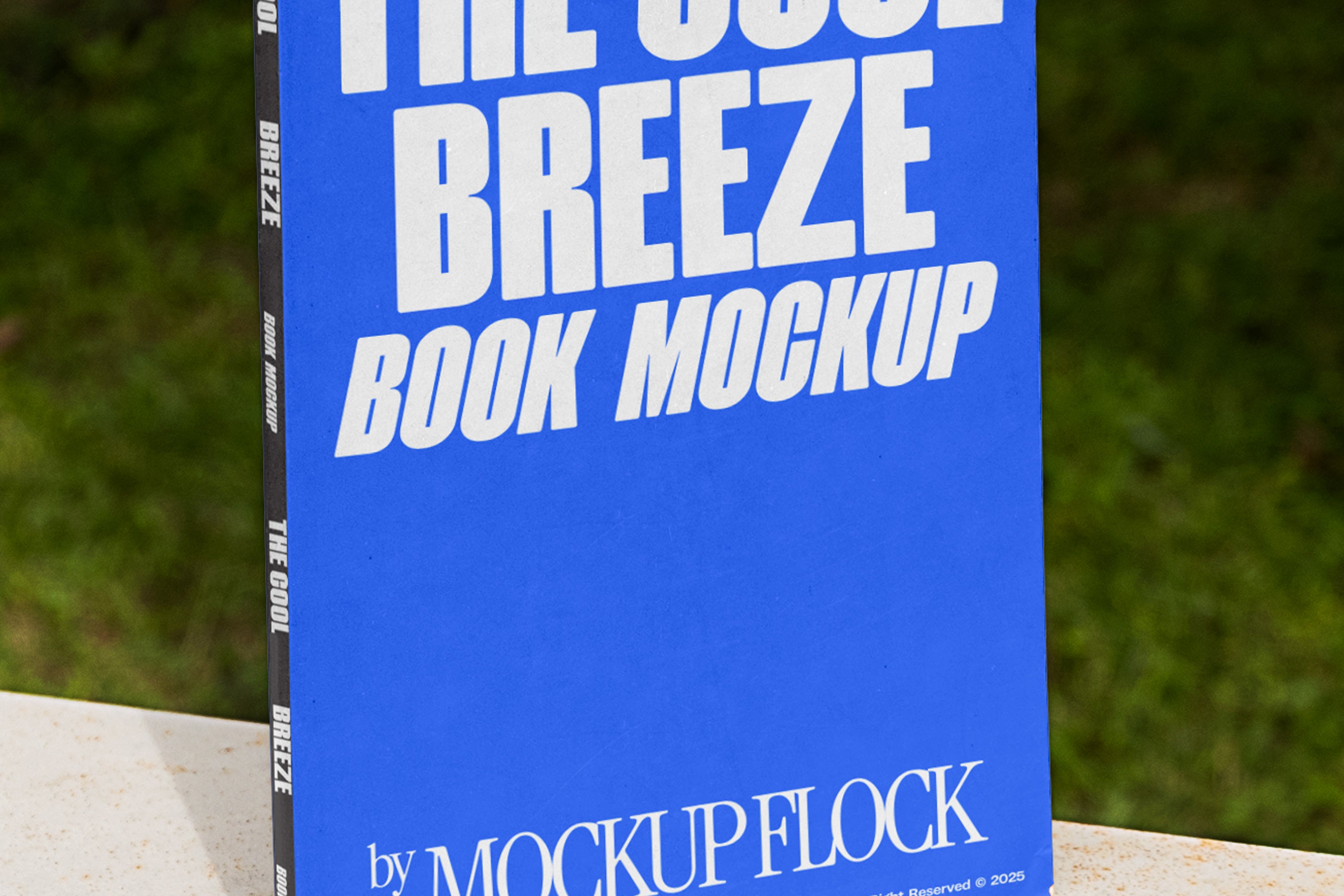 C&B Book 02 Mockup - Mockup Flock 3.jpg
