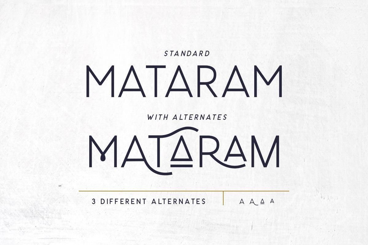 Carrol Sans (16 Fonts) - 50% OFF! - Sarid Ezra 3.jpg