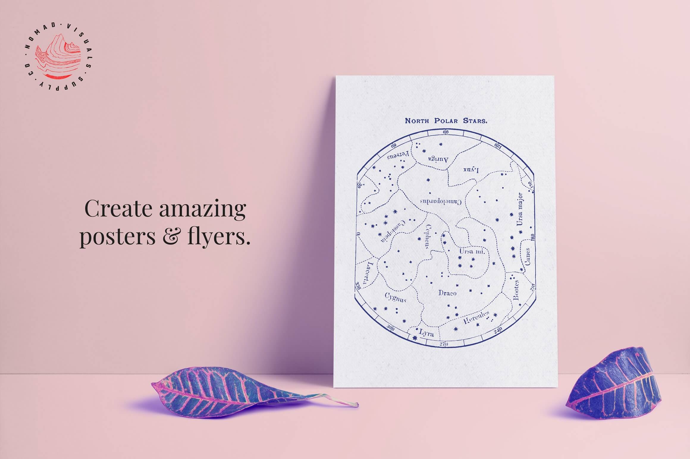 Constellations & Zodiac Signs - Nomad Visuals 8.jpeg