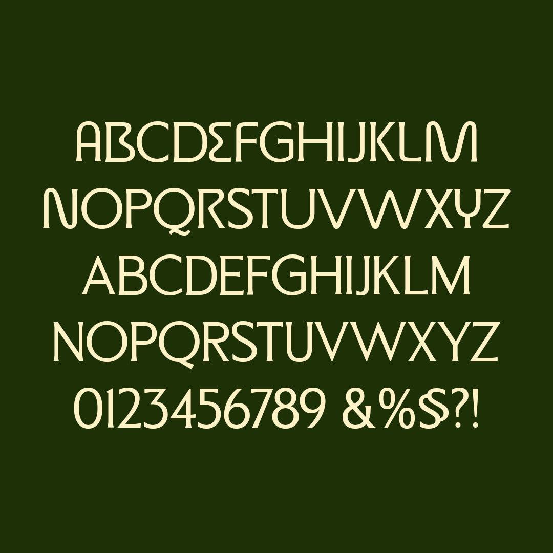 ED Micona - Display Serif Font - Emyself Design 2.jpg