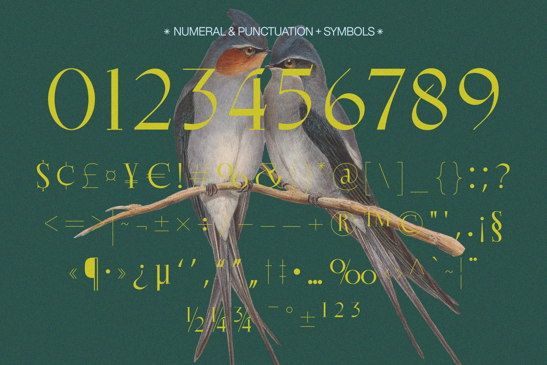 EKGIERO - Enxyclo Studio 1.png