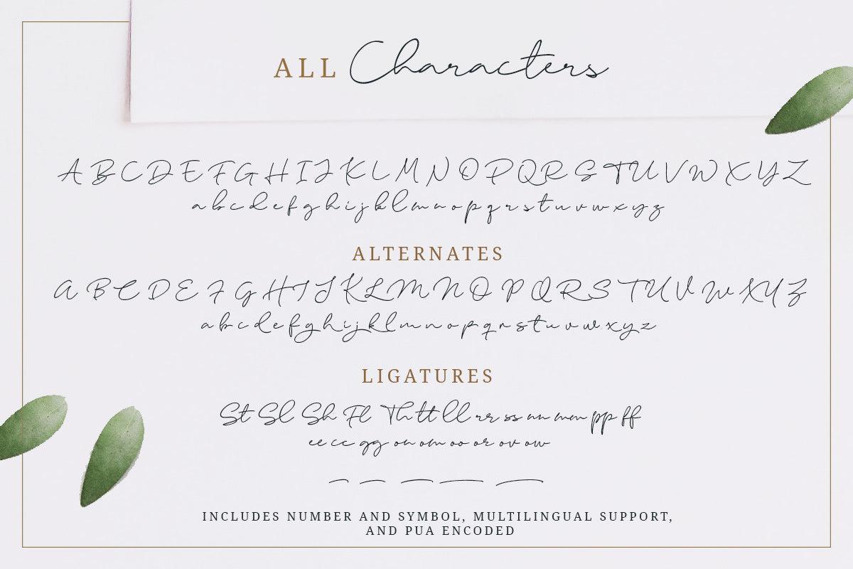 Elaine Hanks (+Feminine Logo Pack) - Sarid Ezra 9.jpg