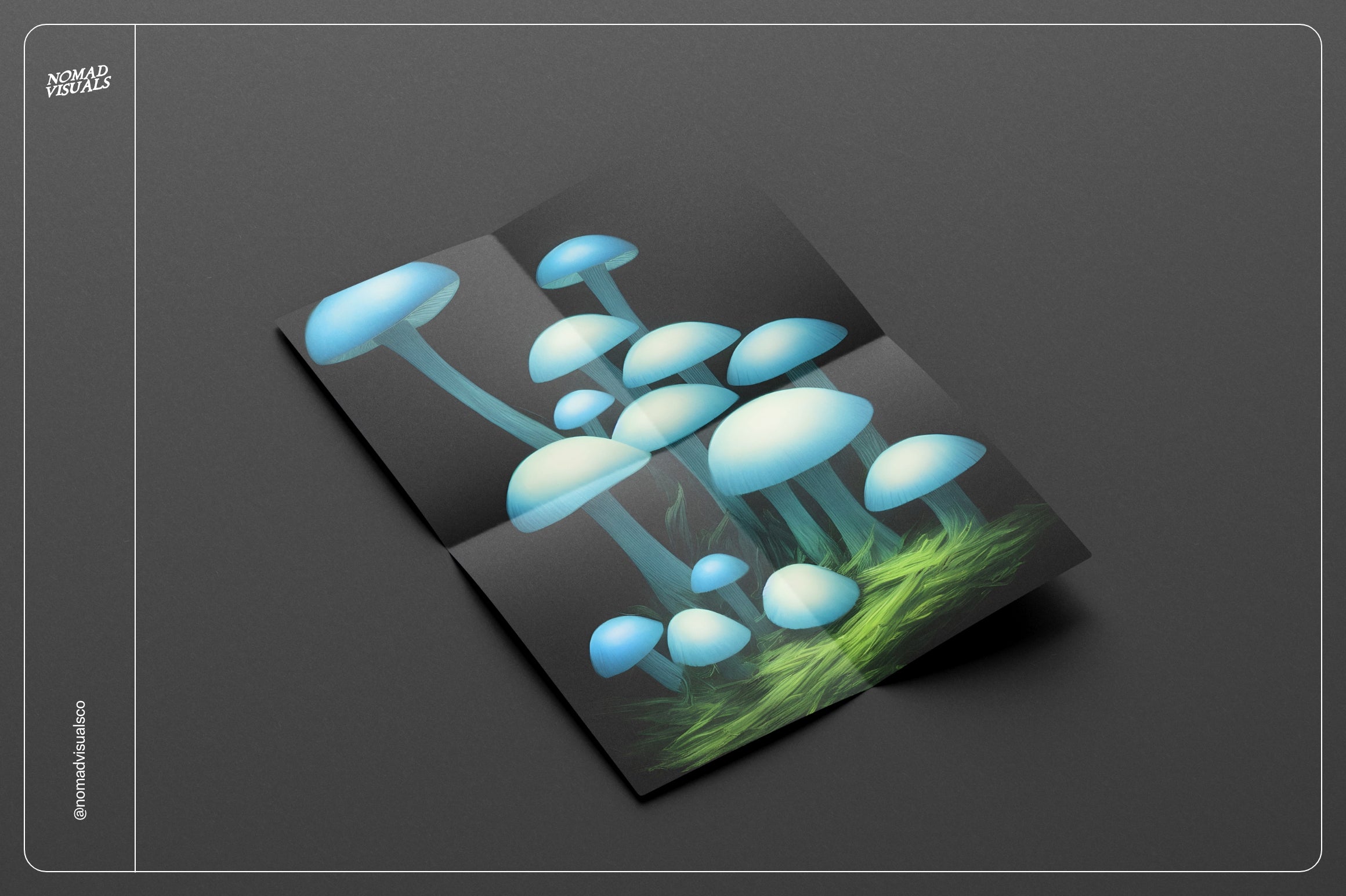 Enchanting Mushrooms Vol 01 - Nomad Visuals 6.jpg