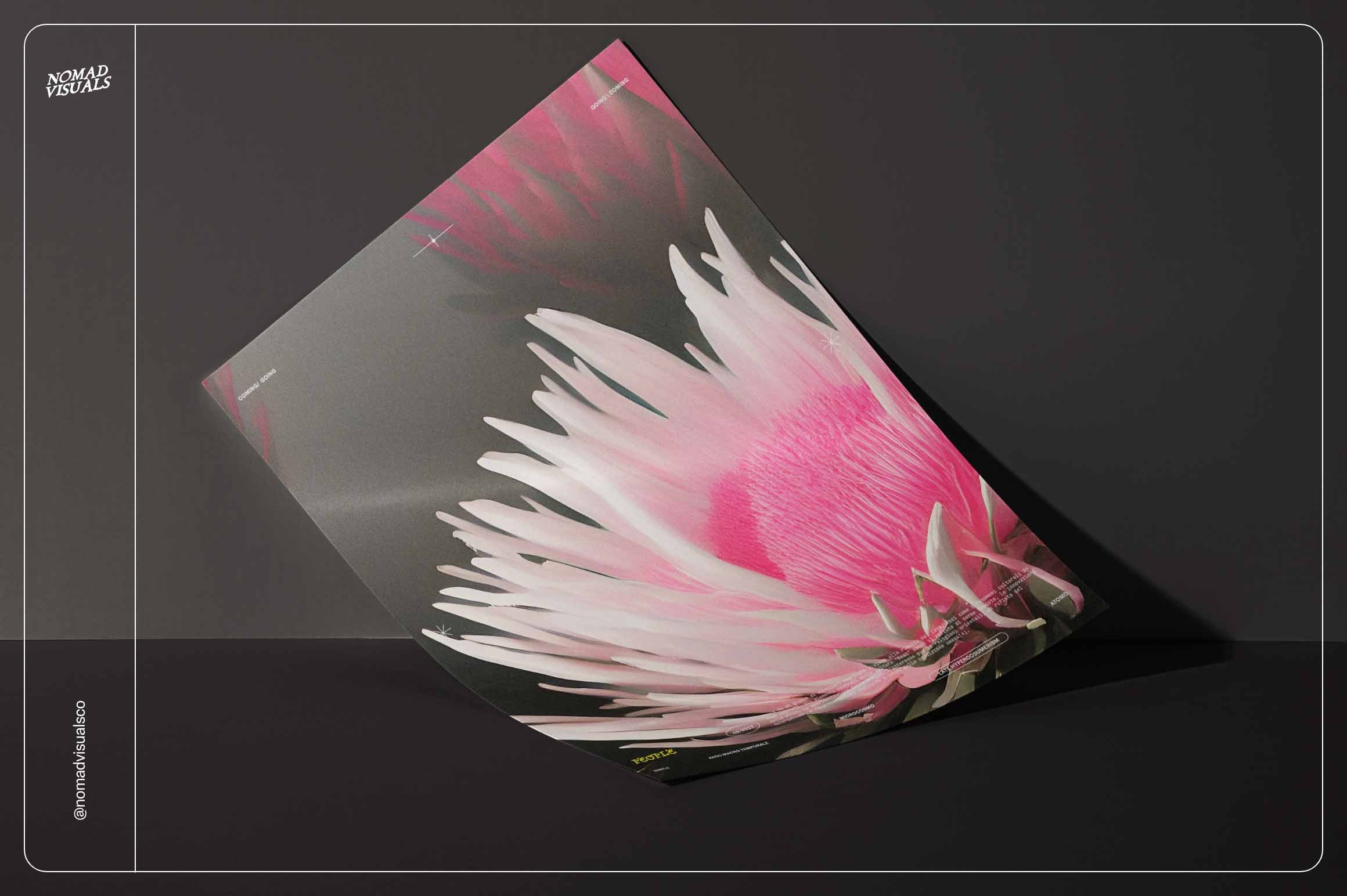 Ethereal Flowers - Nomad Visuals 7.jpg