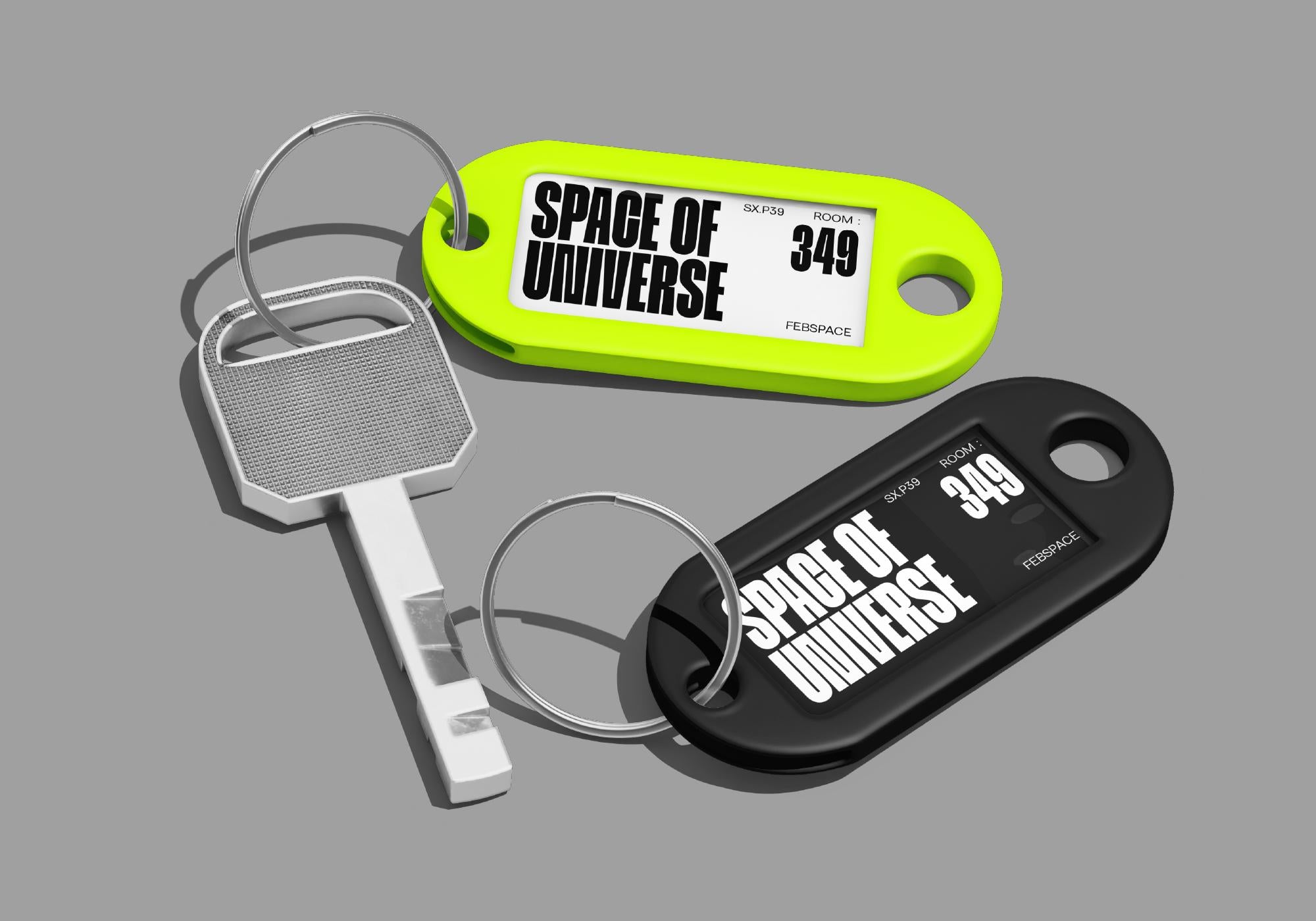 FBS Maglion - Febspace Studio 4.png