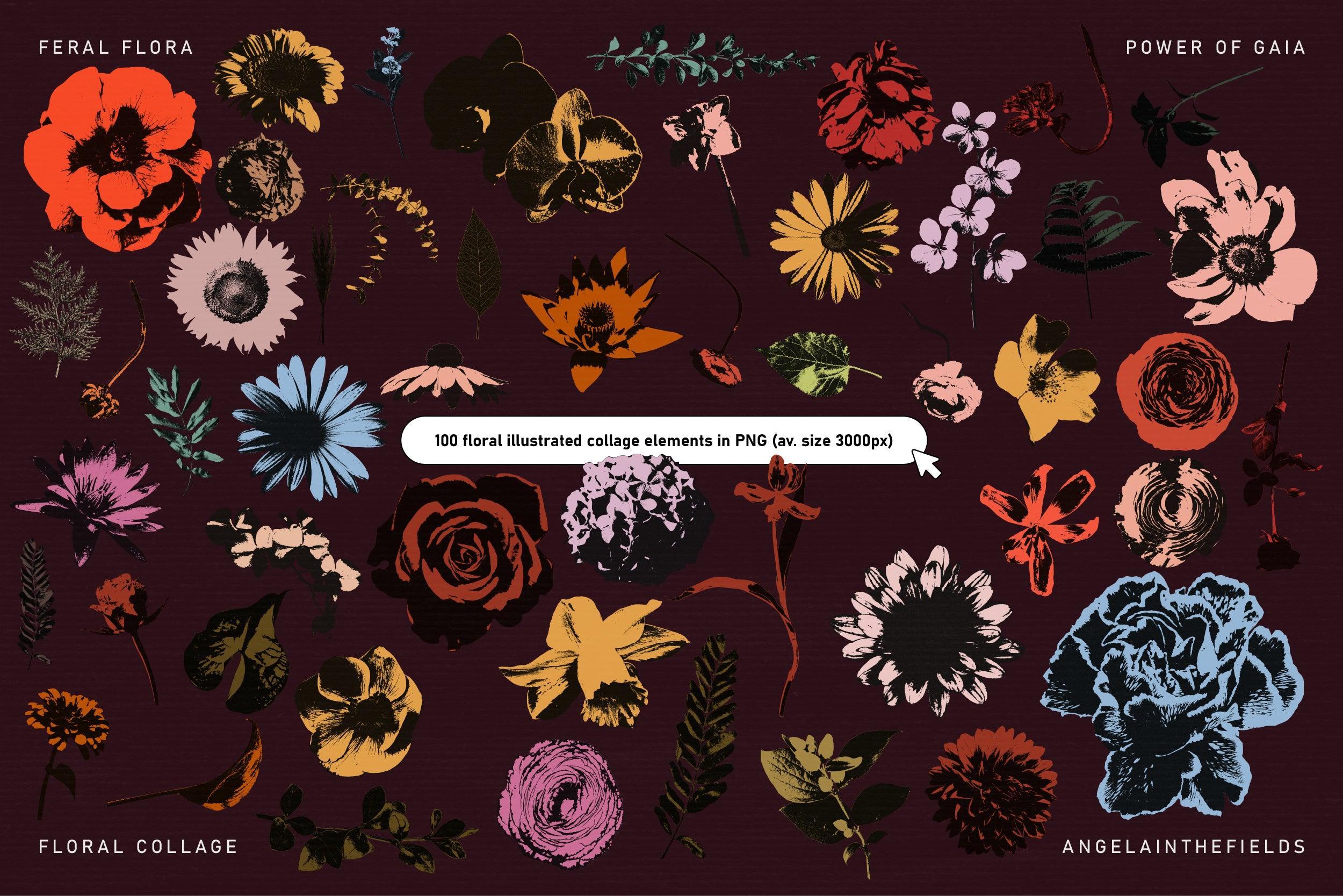 FERAL FLORA Collage Elements - angelainthefields 8.jpg