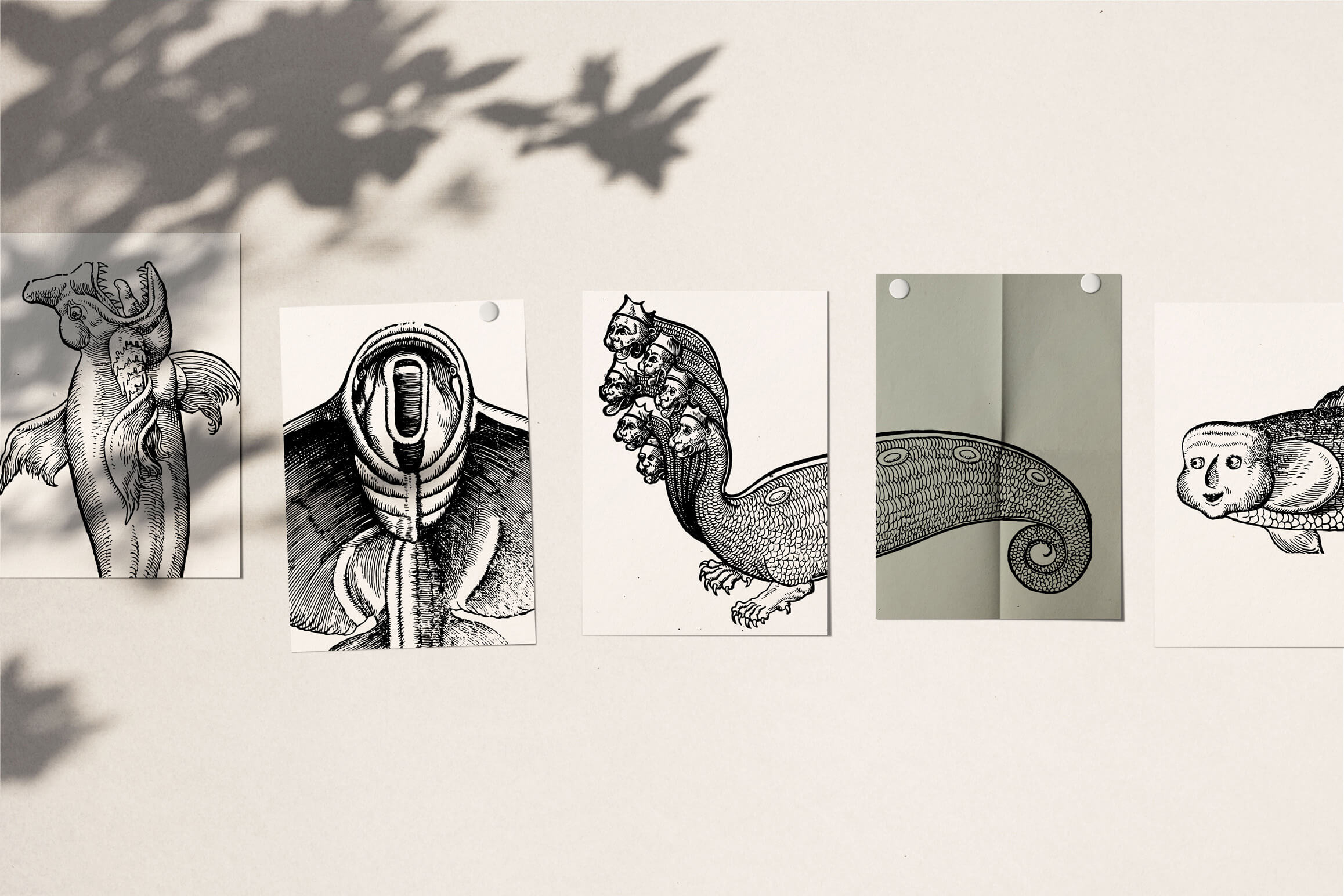 Fantastic Beasts - Nomad Visuals 1.jpg