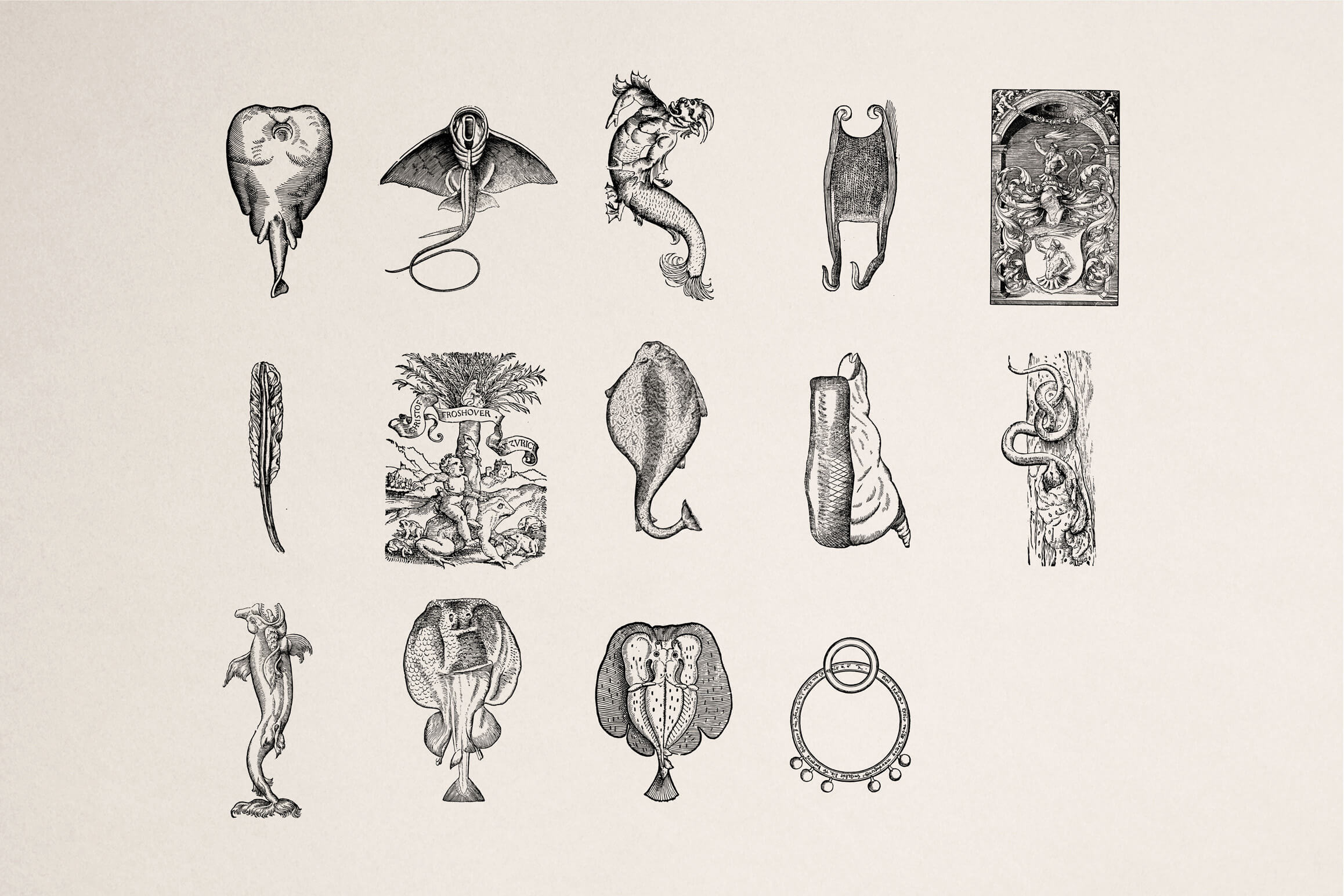 Fantastic Beasts - Nomad Visuals 3.jpg