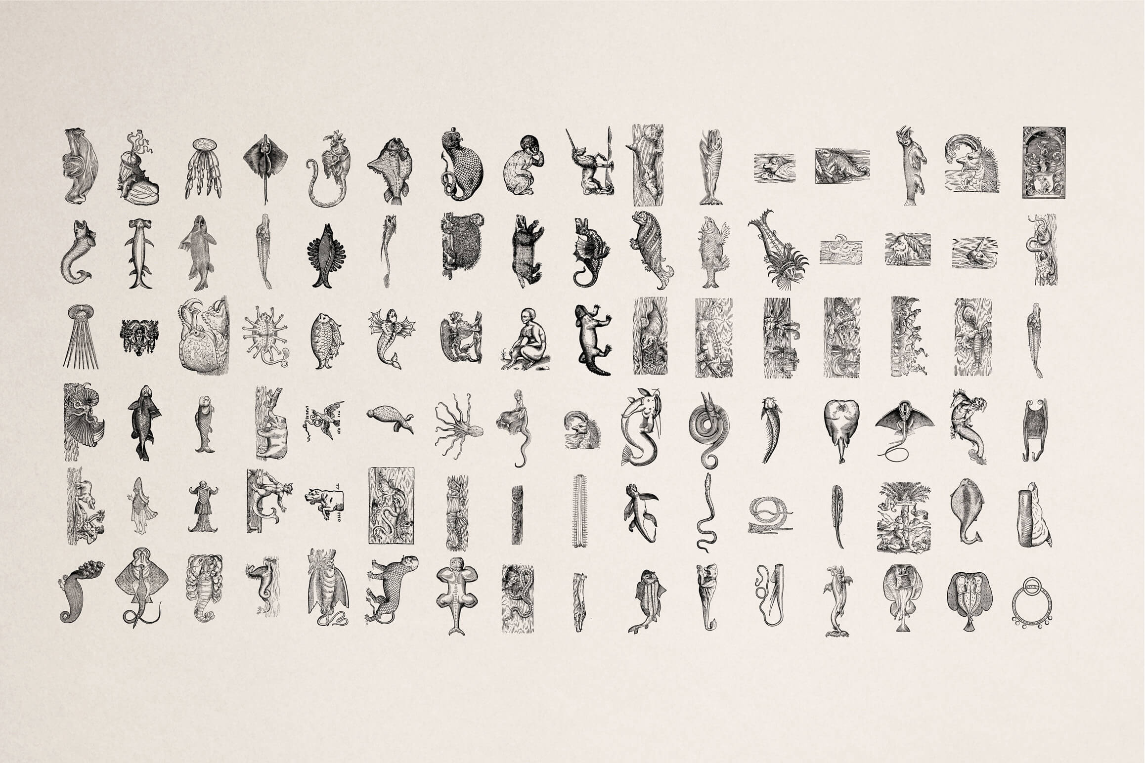 Fantastic Beasts - Nomad Visuals 5.jpg