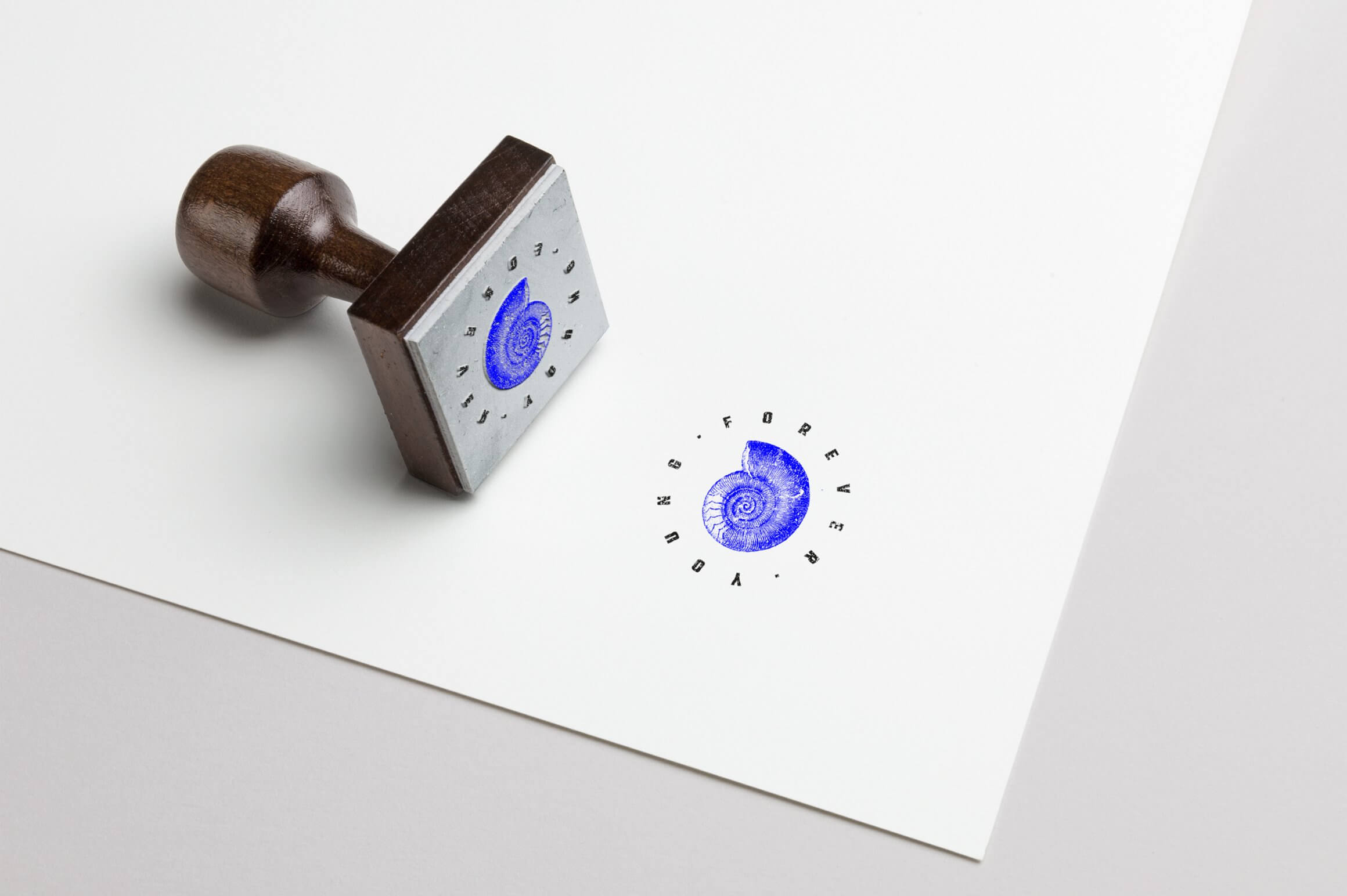Fossils Illustrations - Nomad Visuals 3.jpg
