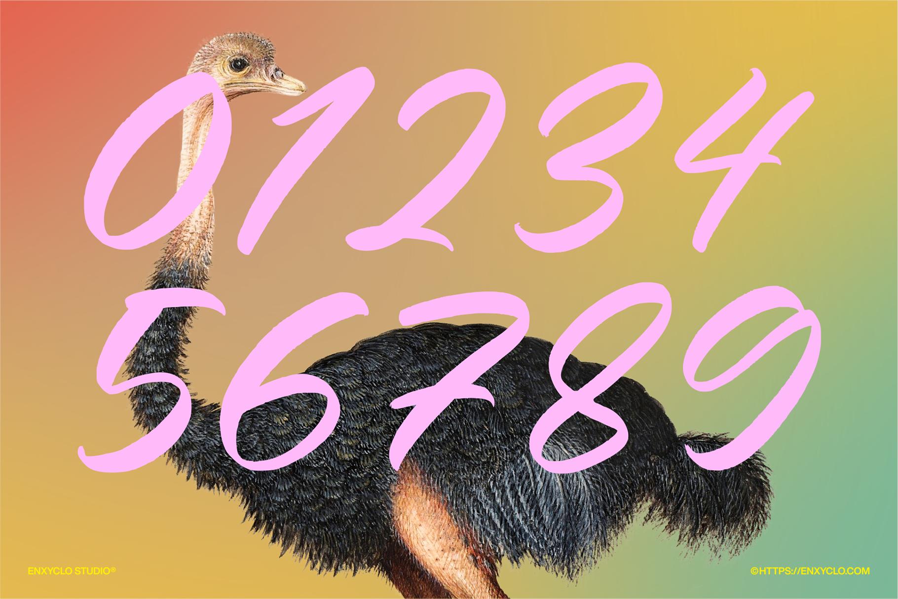 HUMBLE MEARI - Enxyclo Studio 1.png