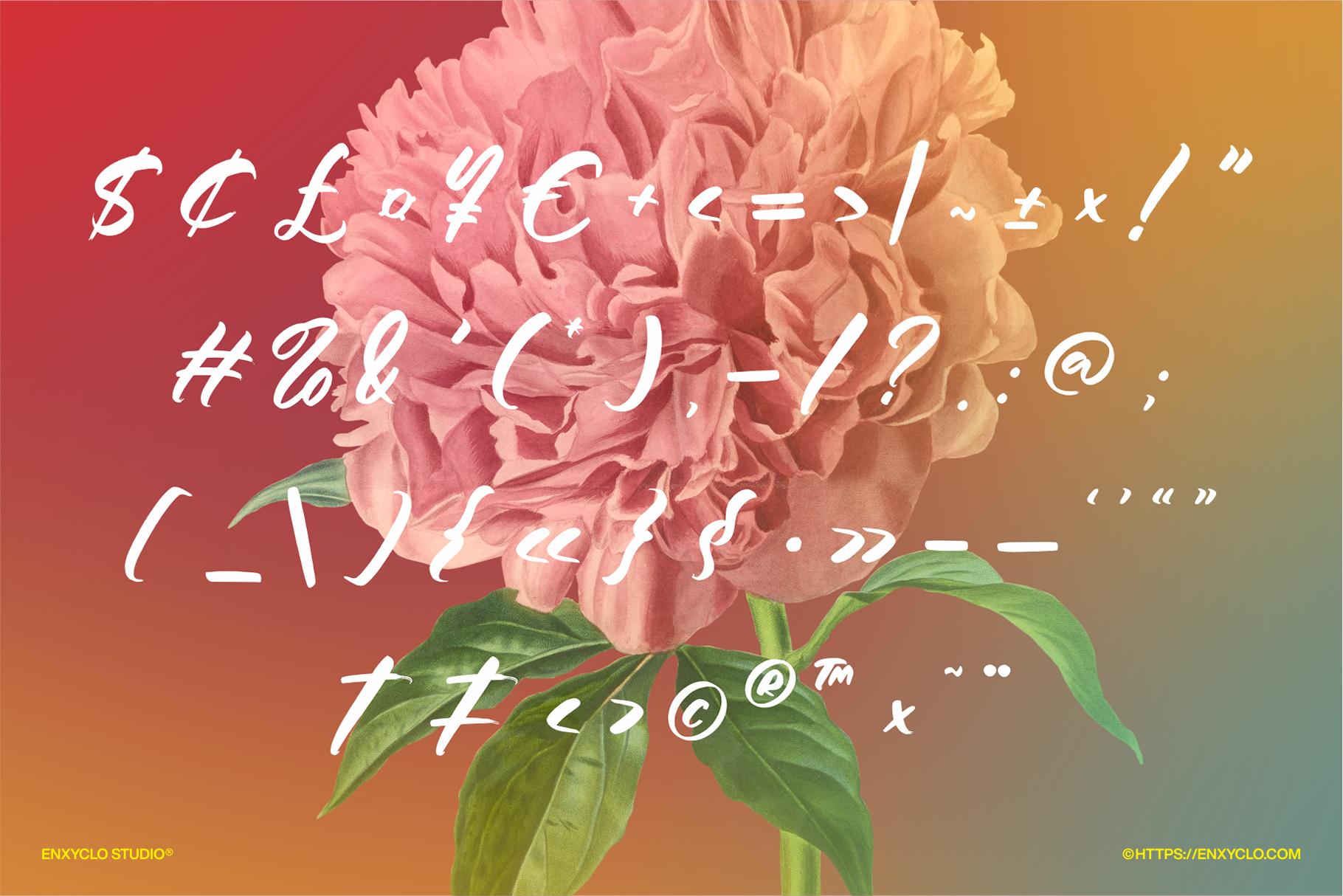 HUMBLE MEARI - Enxyclo Studio 1.png