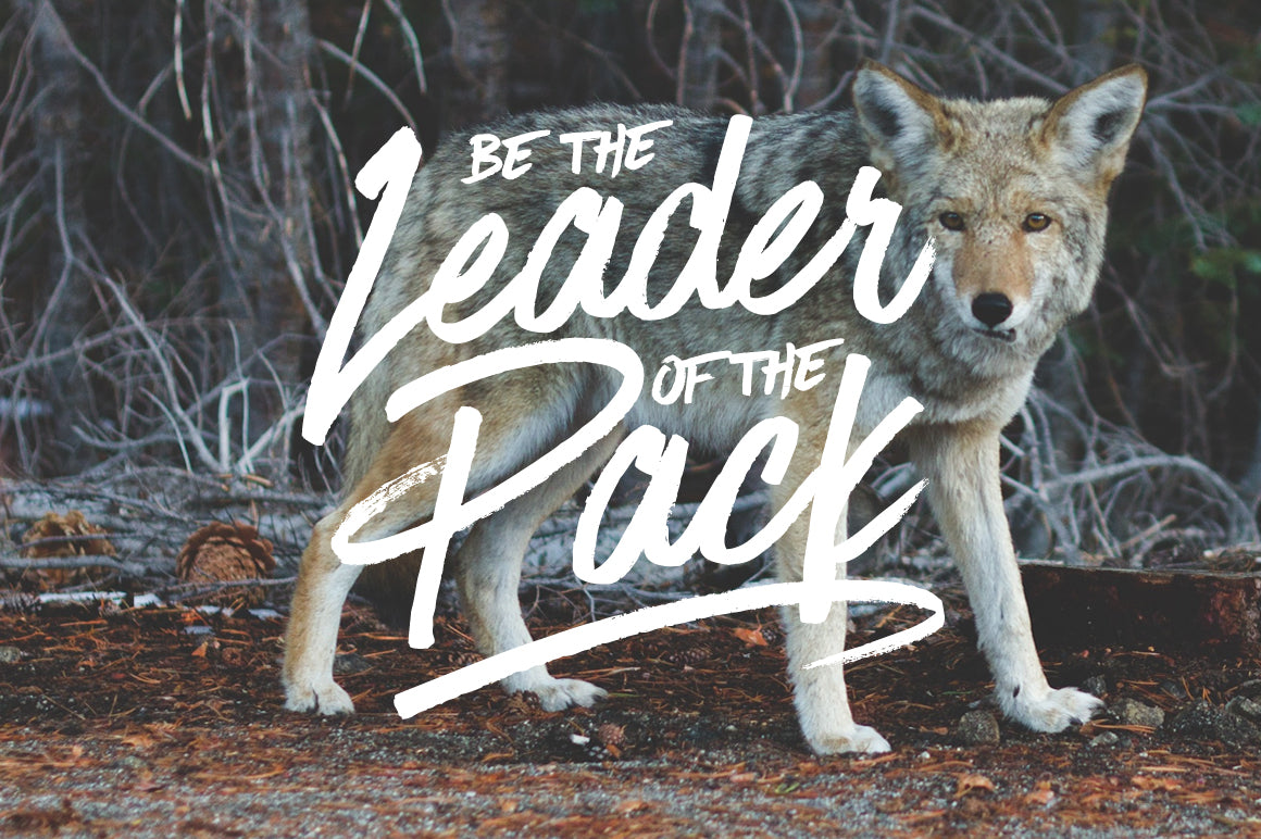 Have Heart - Set Sail Studios 1.jpg