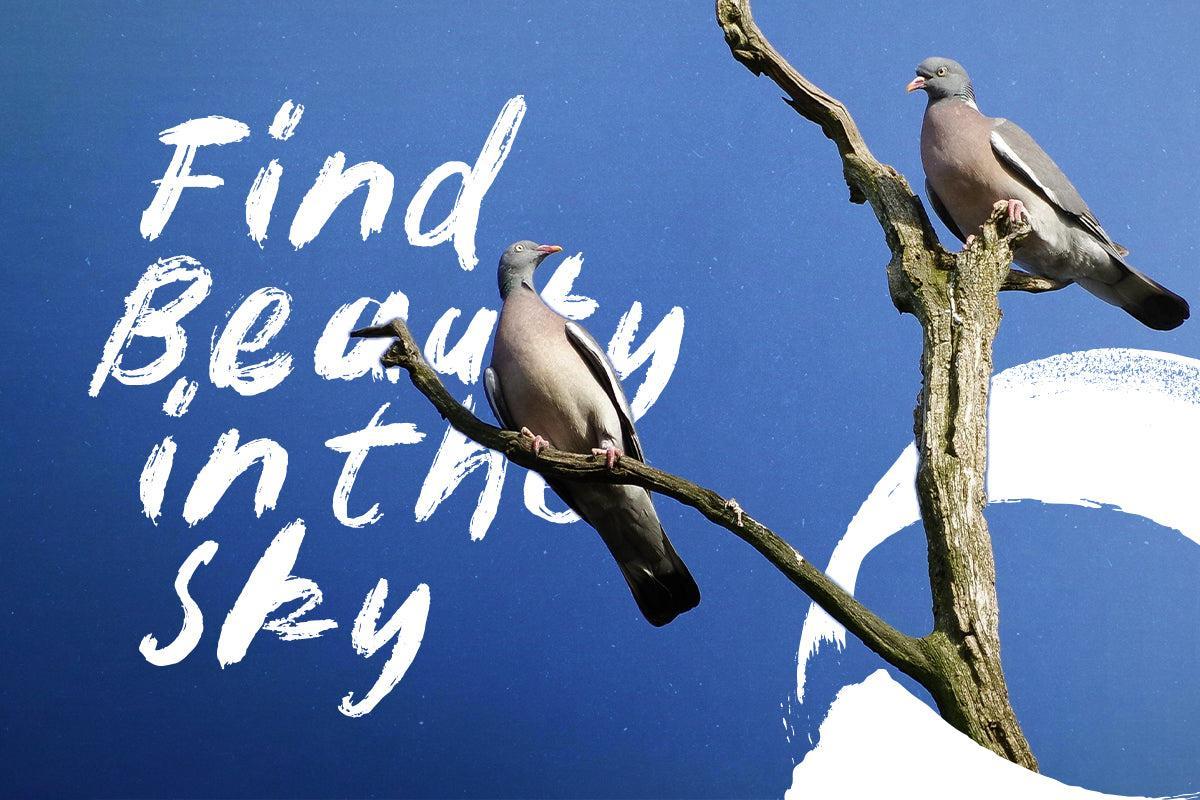 Little Receipt - Rough Brush Font - Sarid Ezra 5.jpg