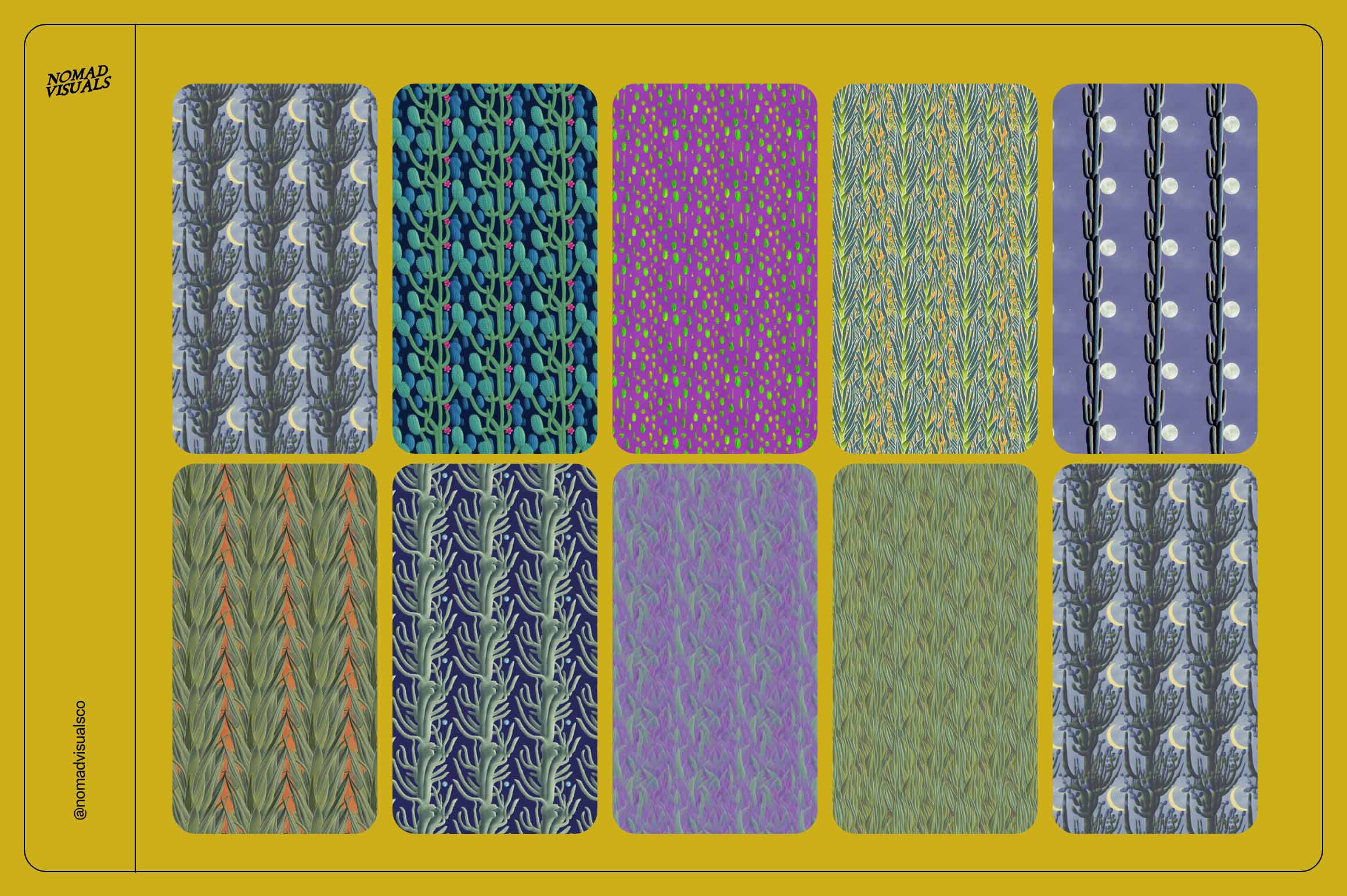 Magic Cactus - Nomad Visuals 12.jpg