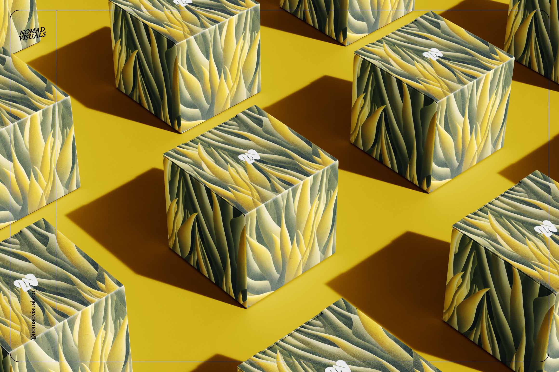 Magic Cactus - Nomad Visuals 4.jpg