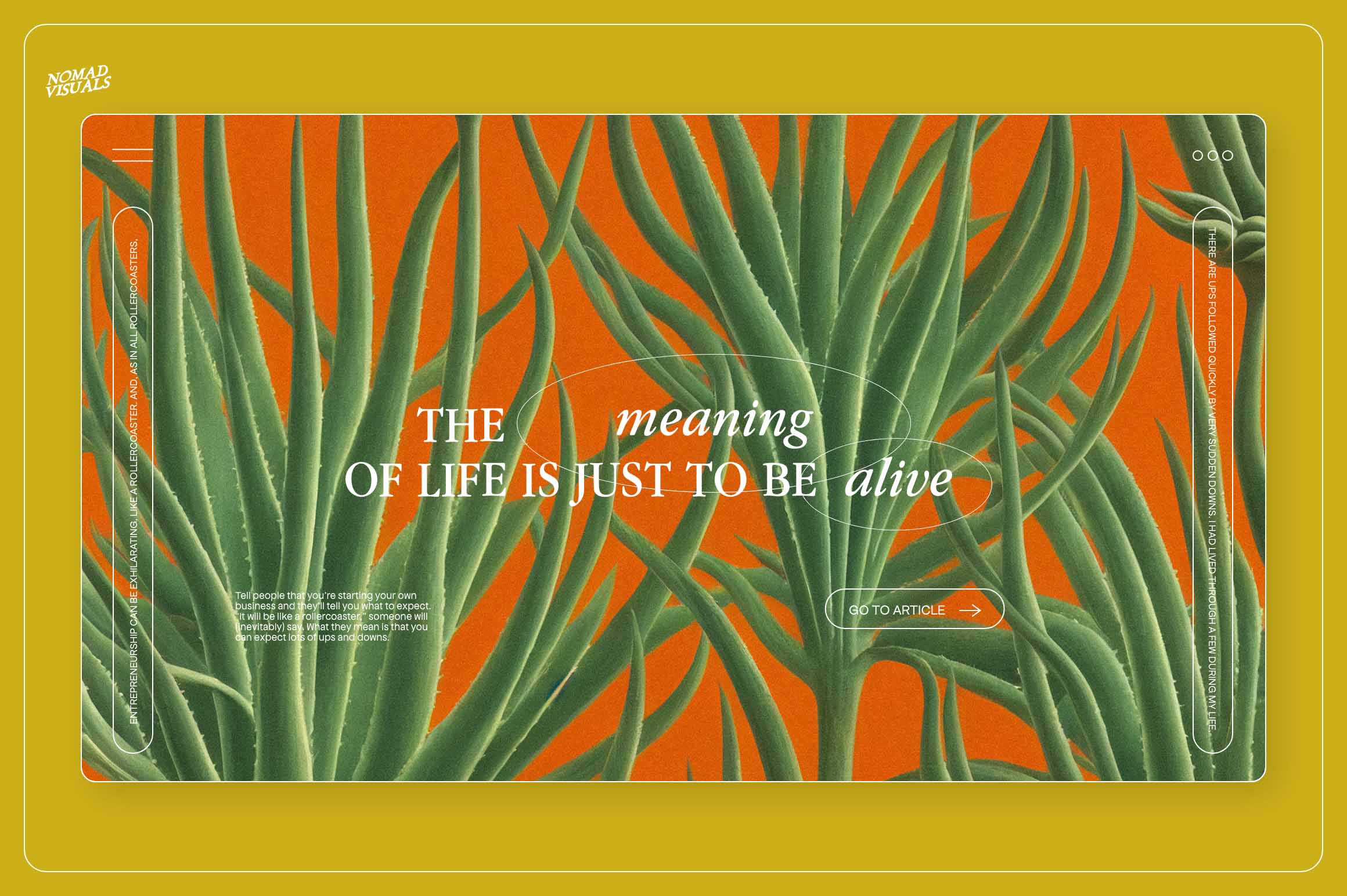 Magic Cactus - Nomad Visuals 6.jpg